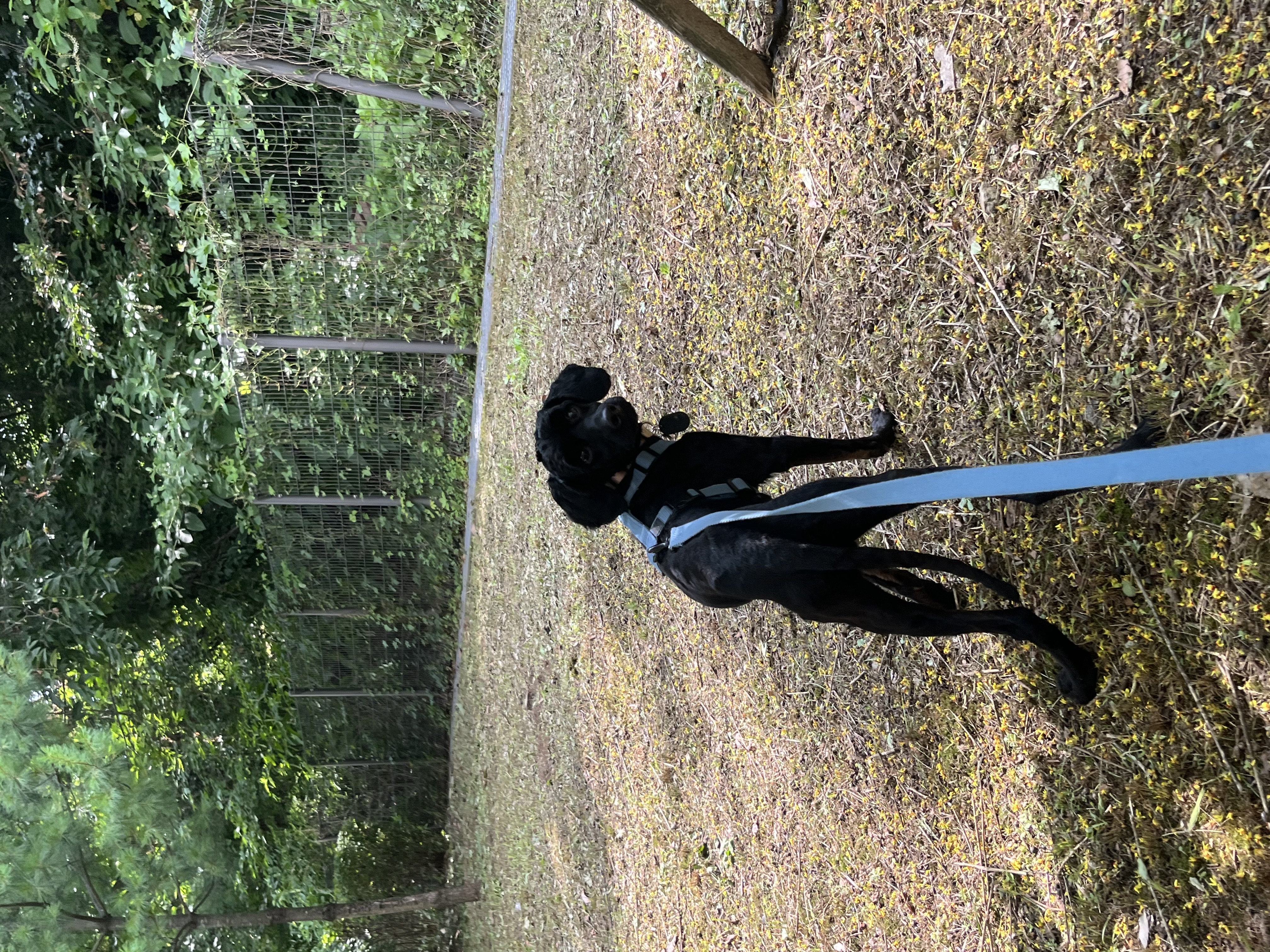 쿠스코 임보 1주차 일기