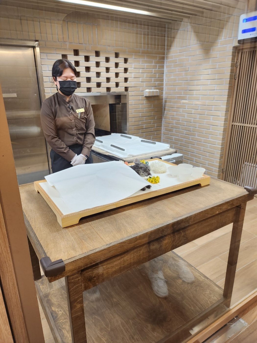 엘라가 하늘나라로 영원한 여행을 떠났습니다.