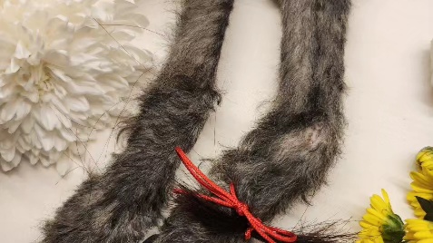 엘라가 하늘나라로 영원한 여행을 떠났습니다.