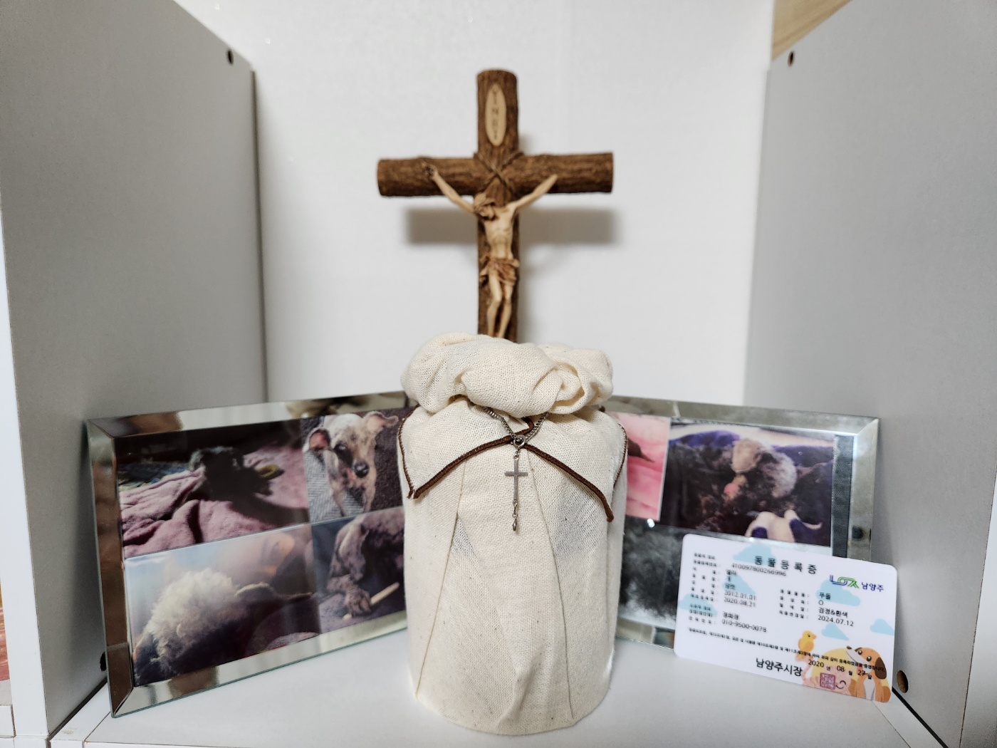 엘라가 하늘나라로 영원한 여행을 떠났습니다.