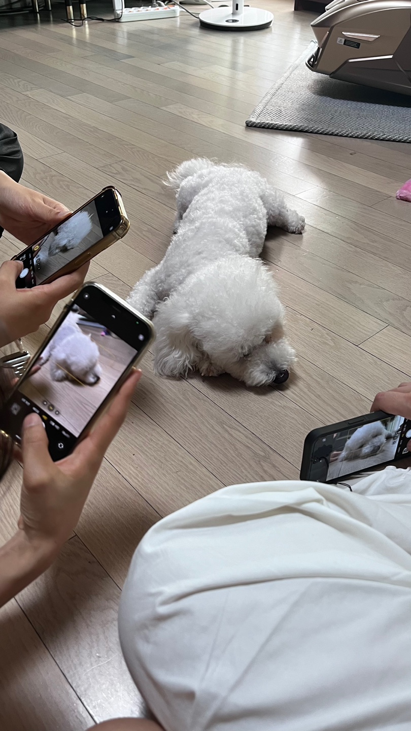 모찌(전 아름이)의 세달째 이야기 