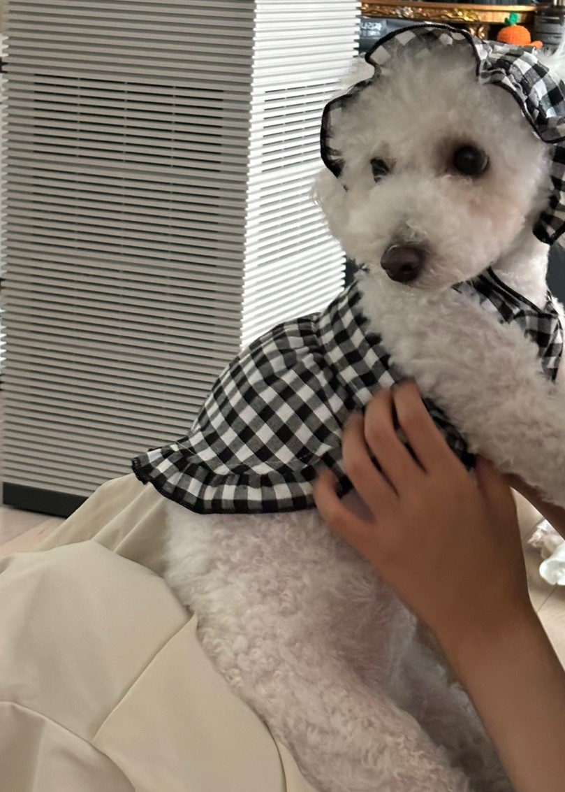 모찌(전 아름이)의 세달째 이야기 