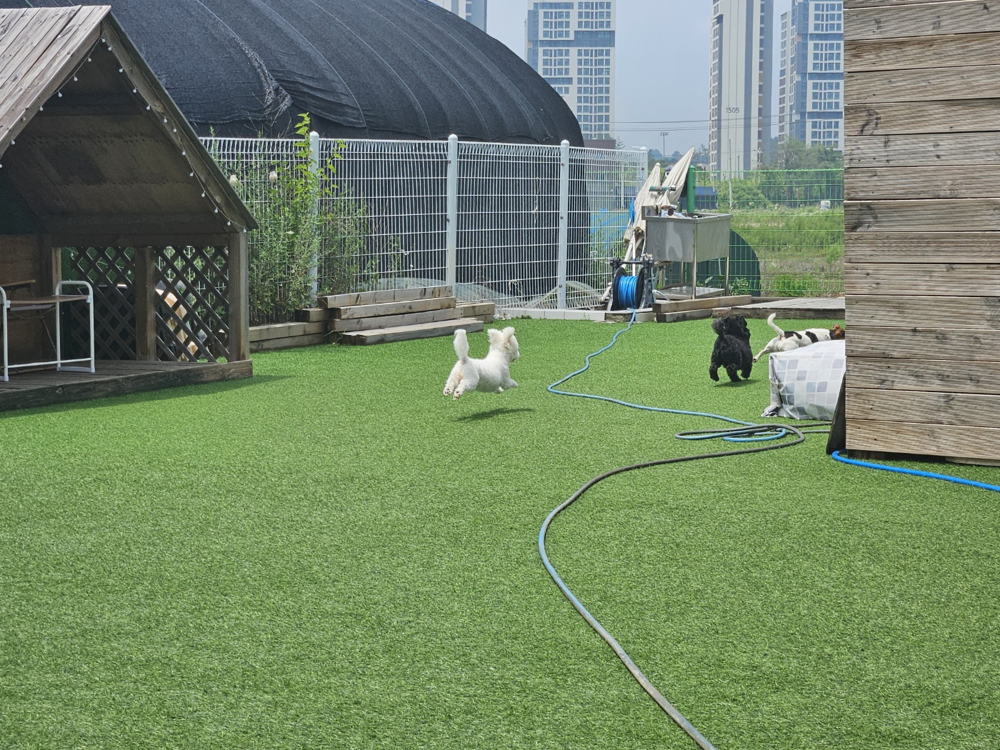 모찌(전 아름이)의 세달째 이야기 