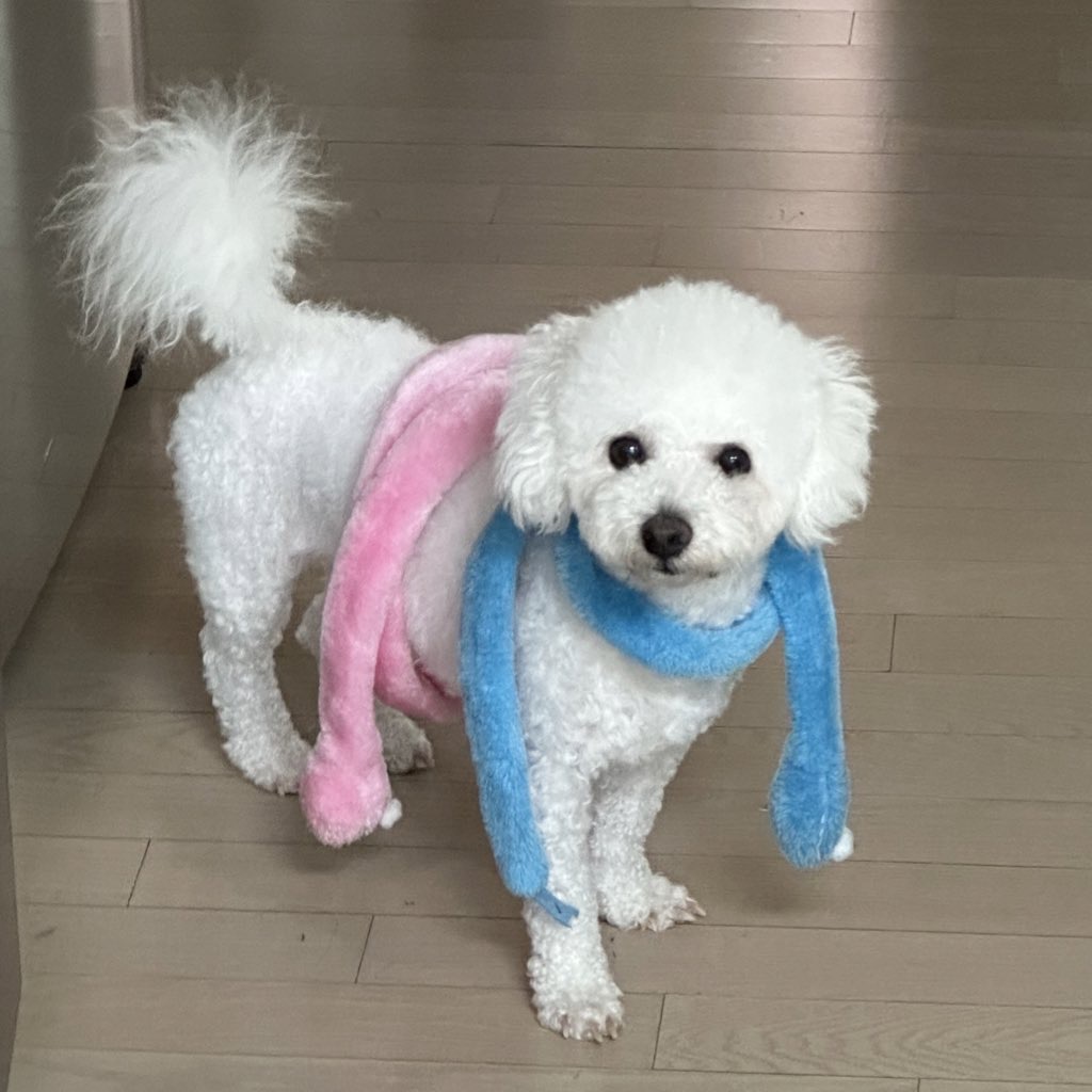 모찌(전 아름이)의 세달째 이야기 