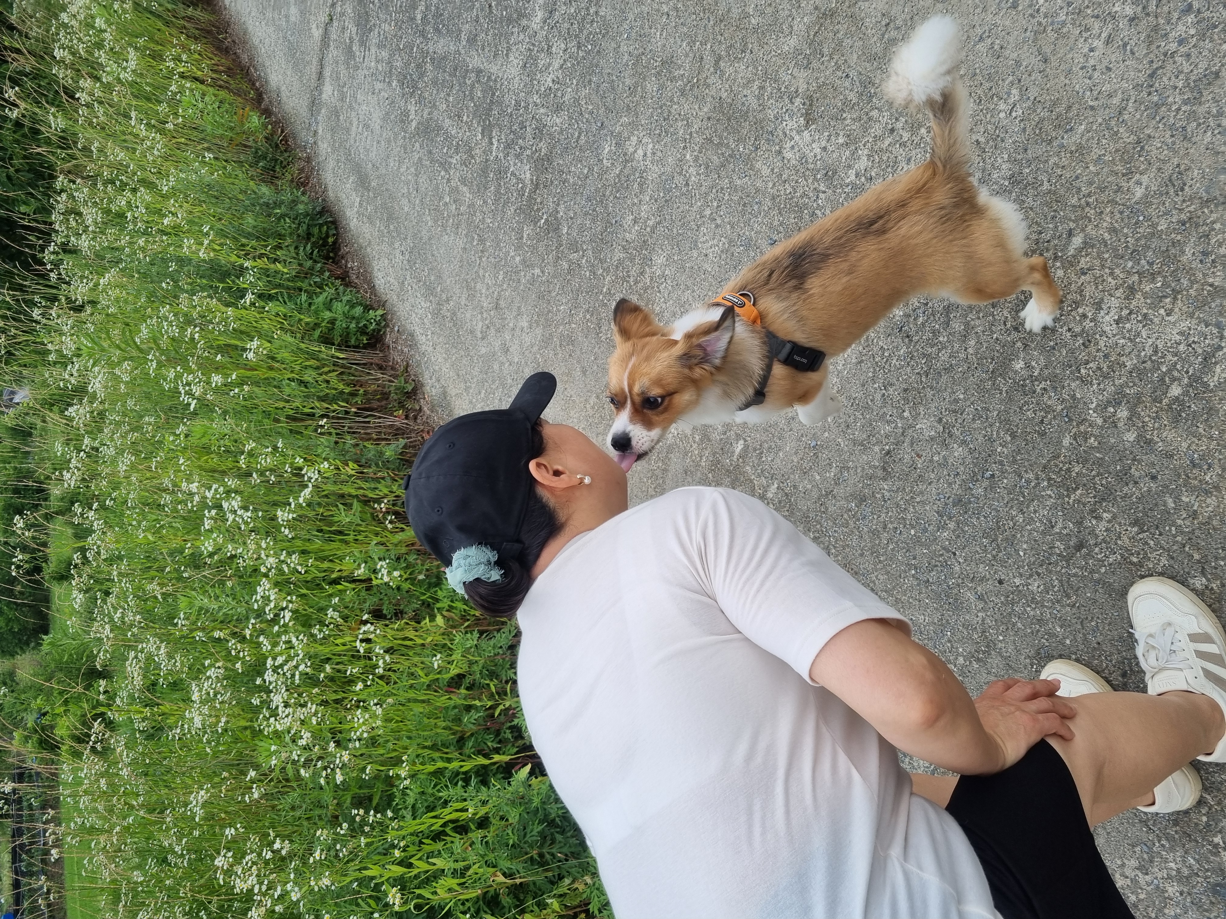 달래입양 1주년ㅡ소소한일상들