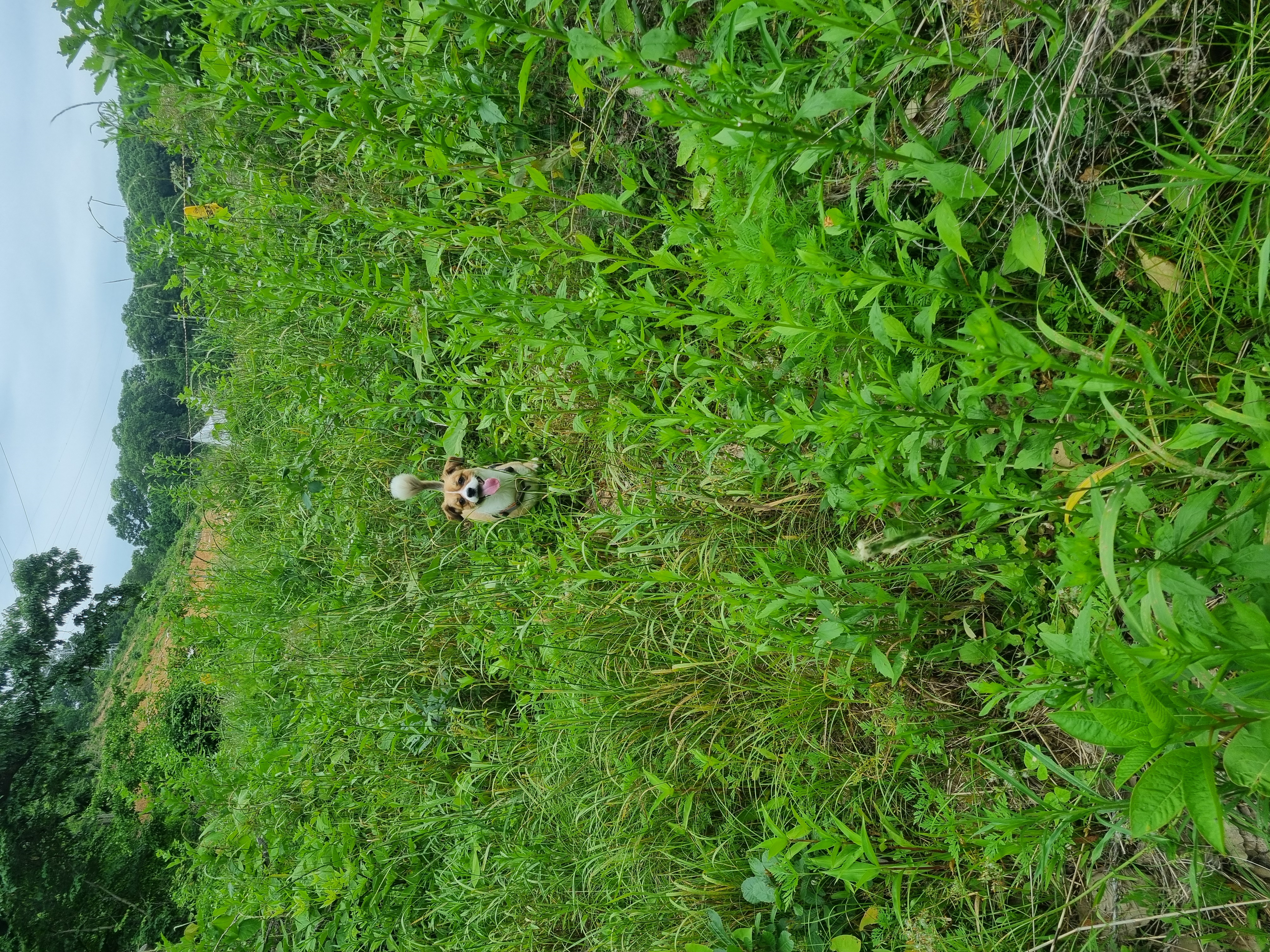 달래입양 1주년ㅡ소소한일상들