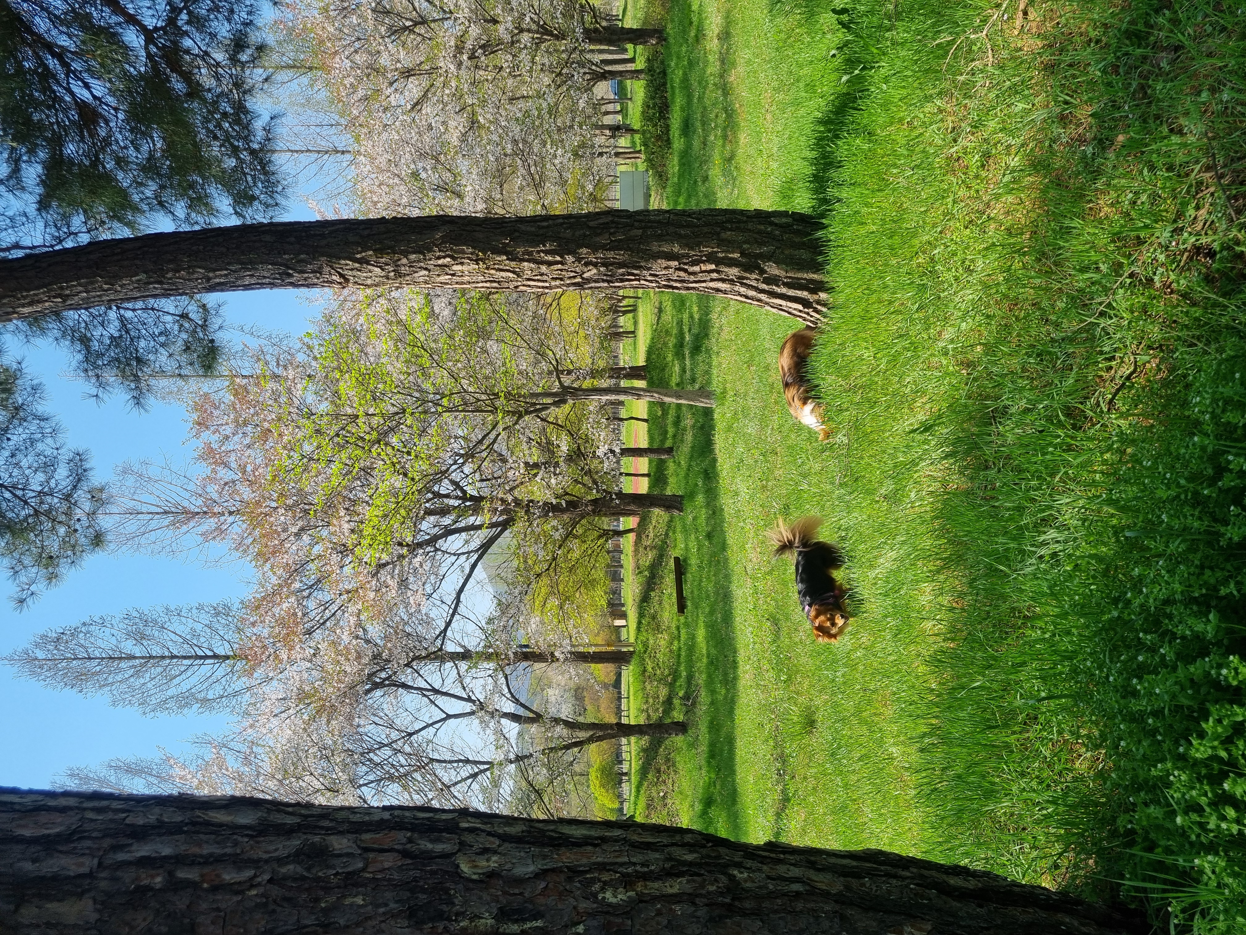 달래입양 1주년ㅡ소소한일상들