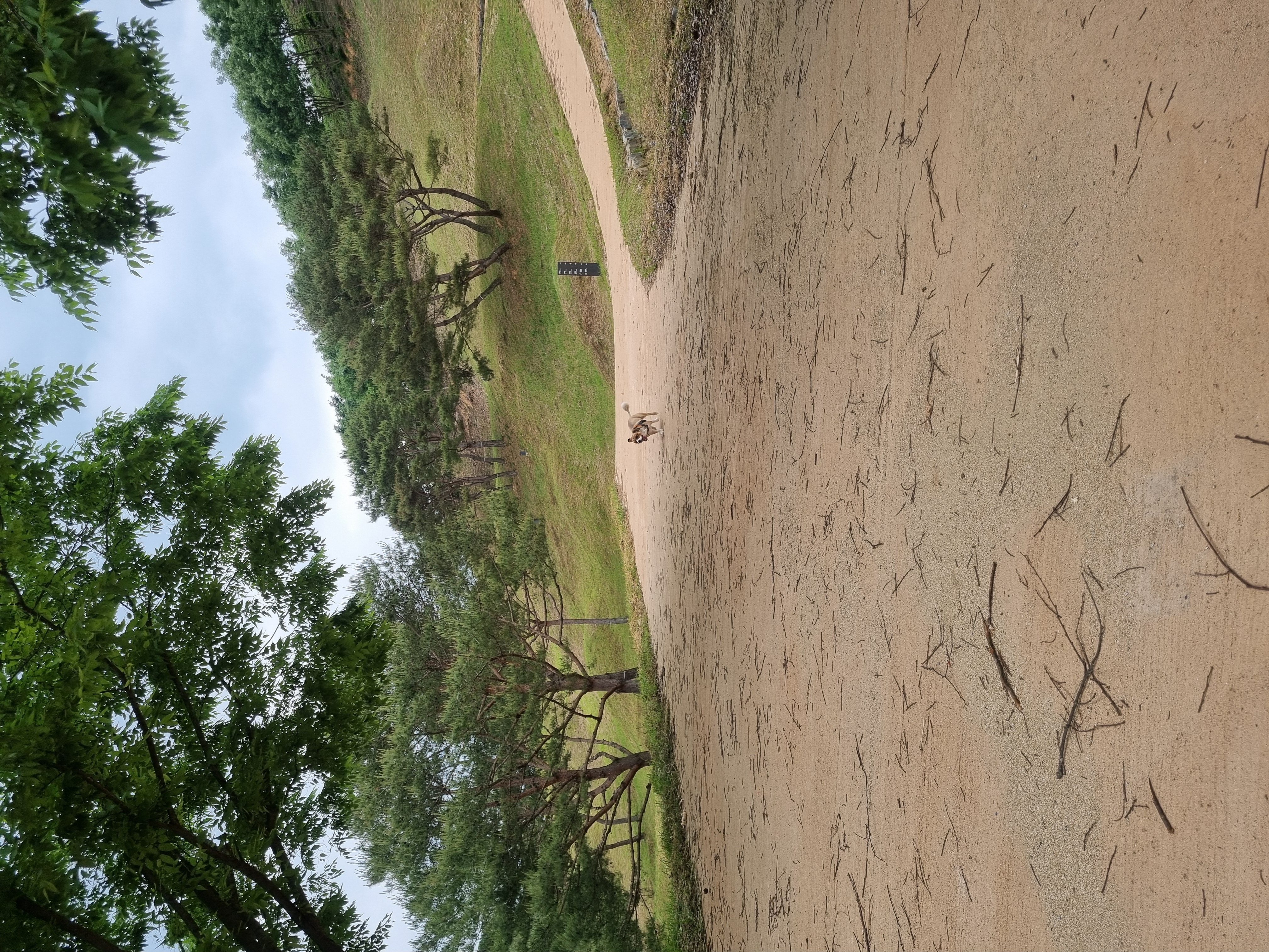 달래입양 1주년ㅡ소소한일상들