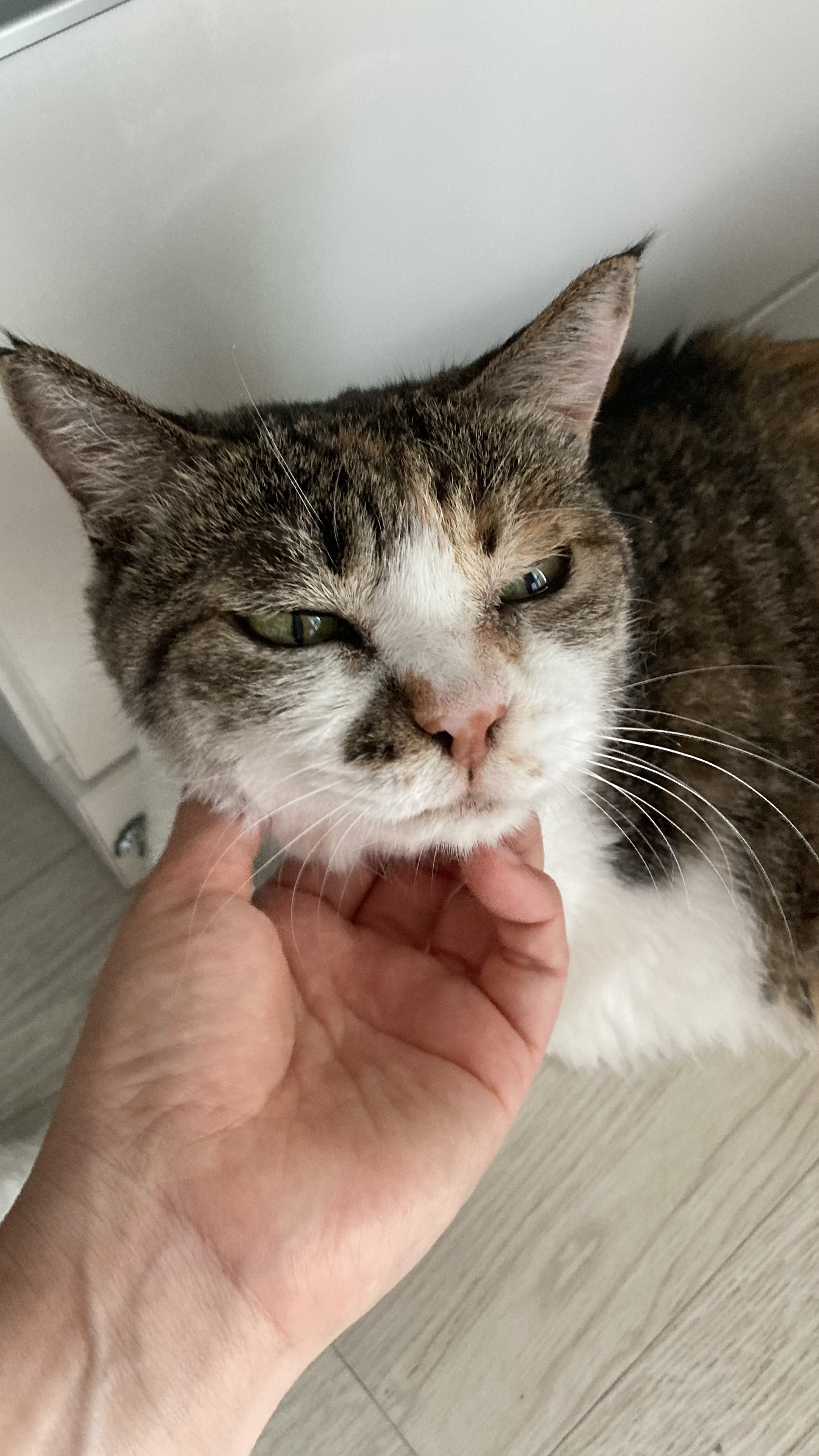 티니랑 벌써 2년