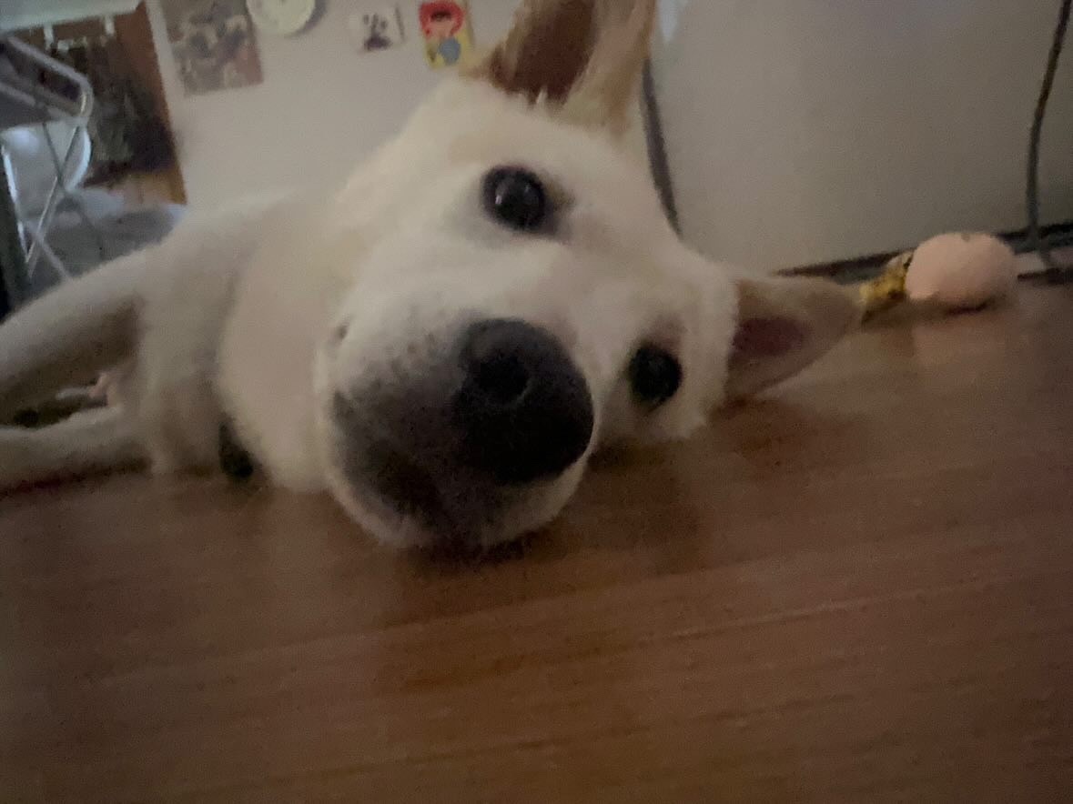 해온이 한 달 후 이야기