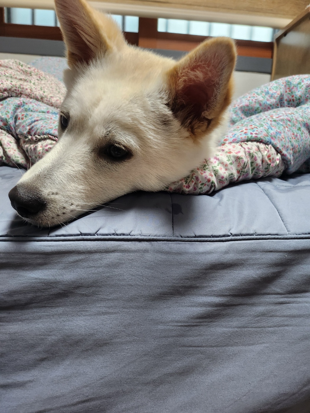 해온이 한 달 후 이야기