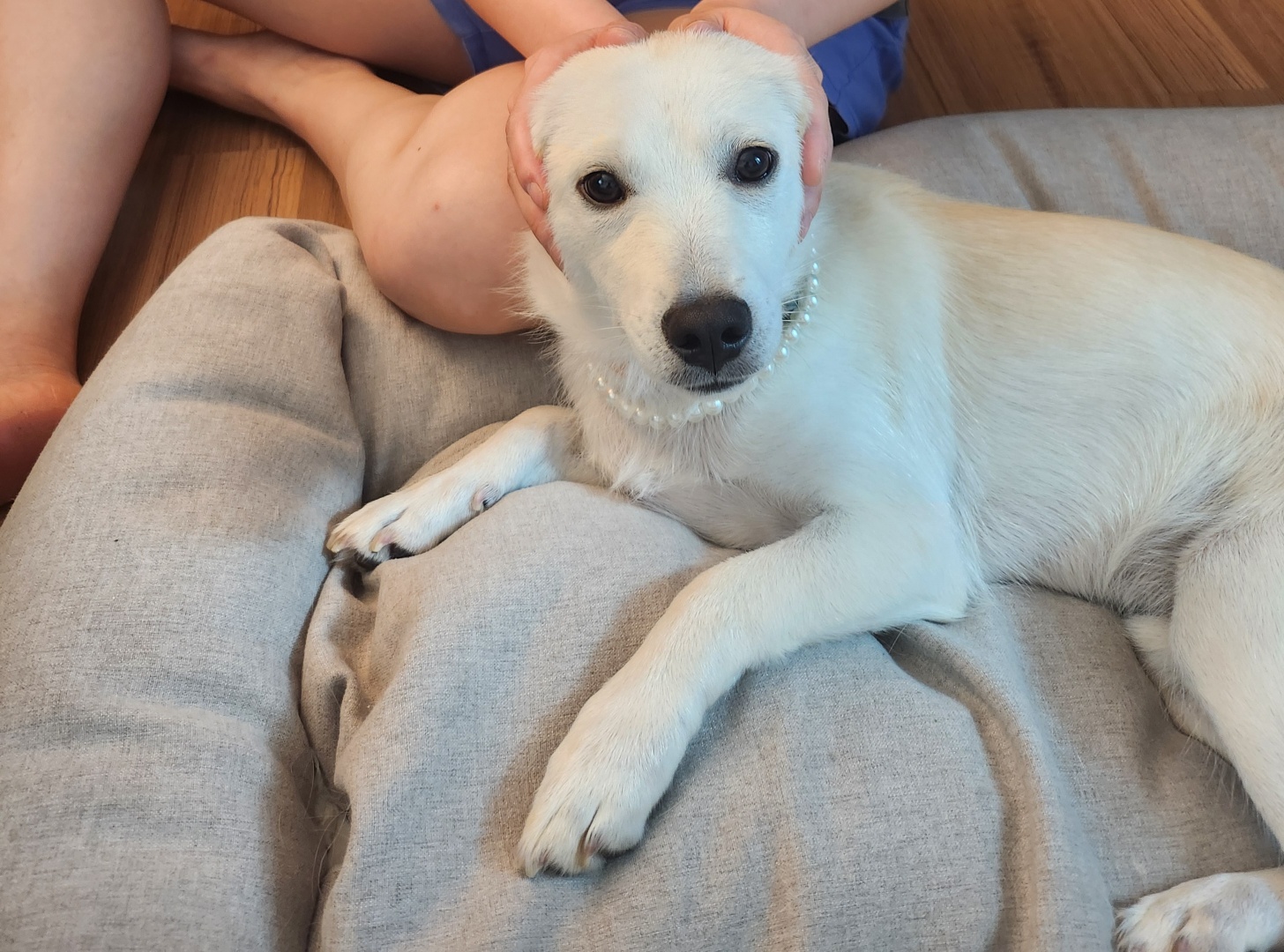 해온이 한 달 후 이야기