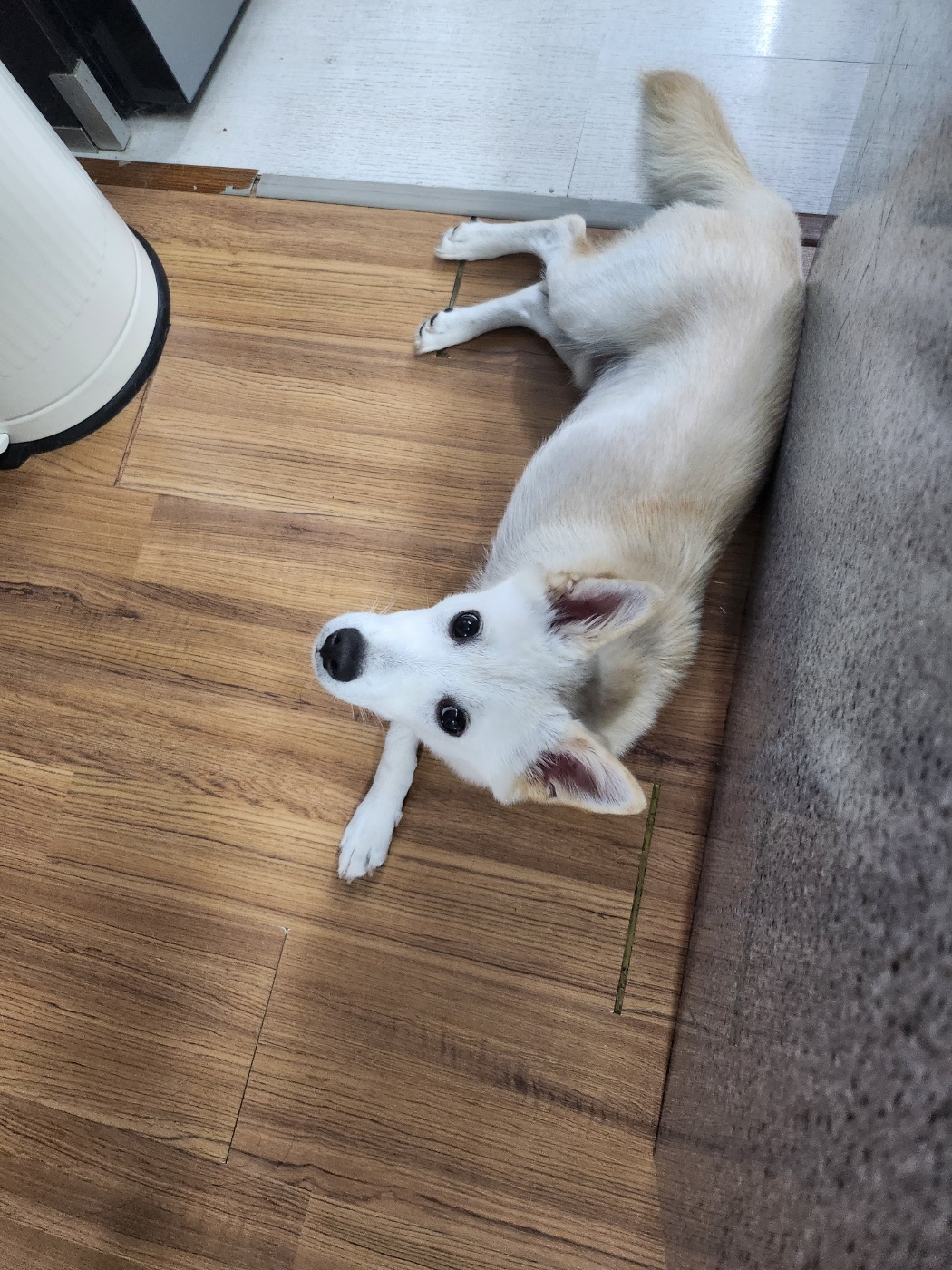 해온이 한 달 후 이야기