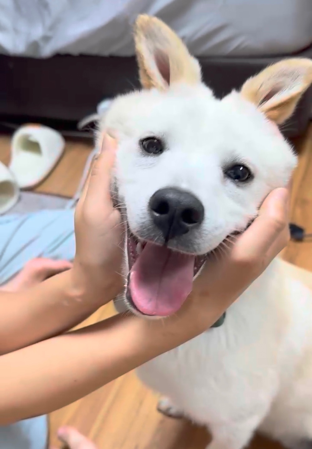 해온이 한 달 후 이야기