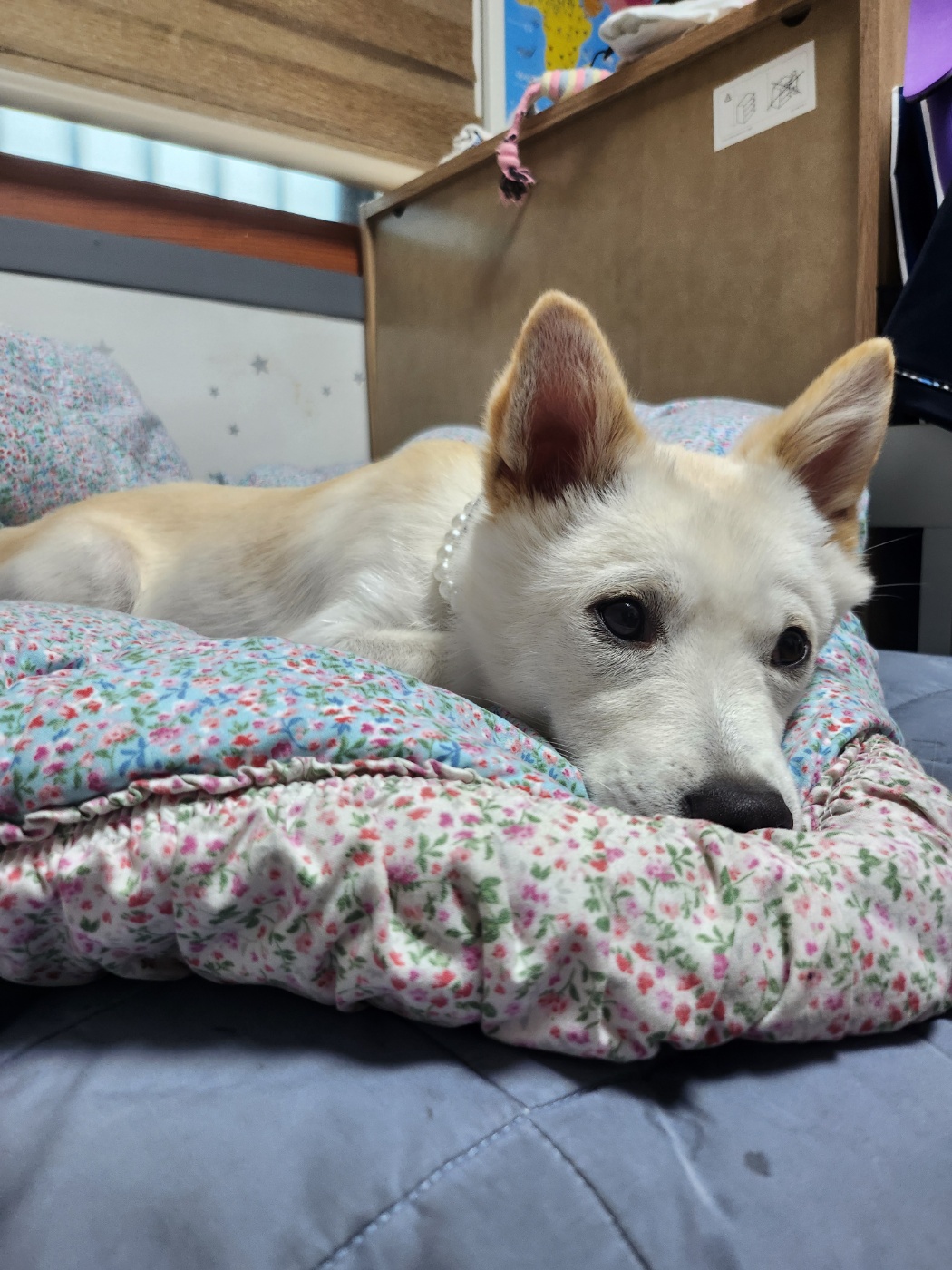 해온이 한 달 후 이야기