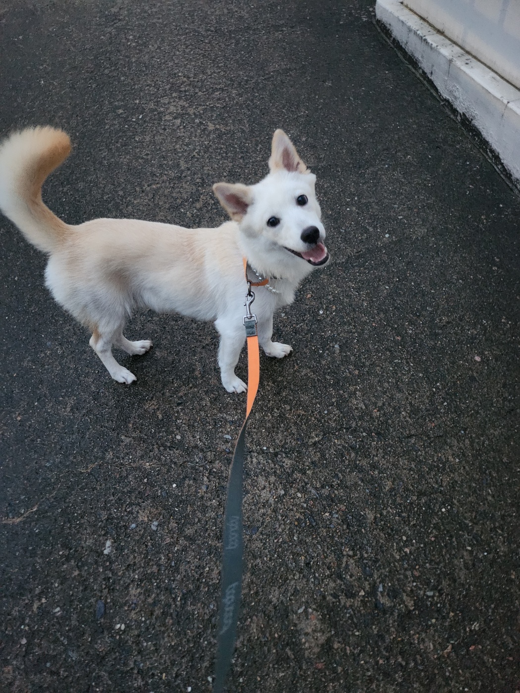 해온이 한 달 후 이야기