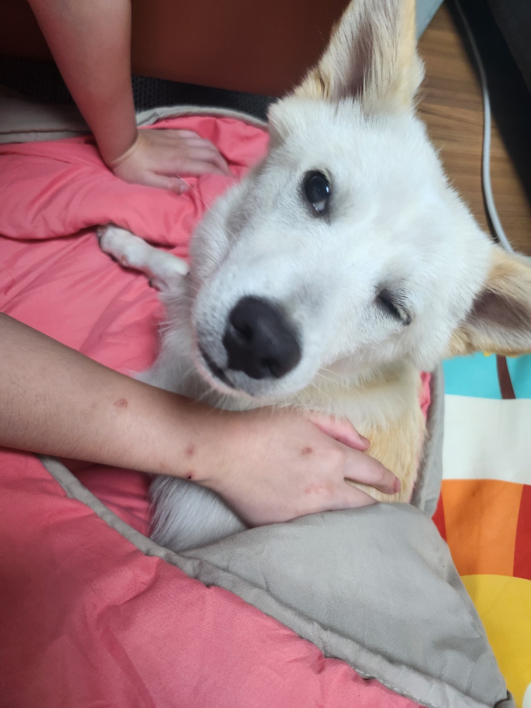 해온이 한 달 후 이야기