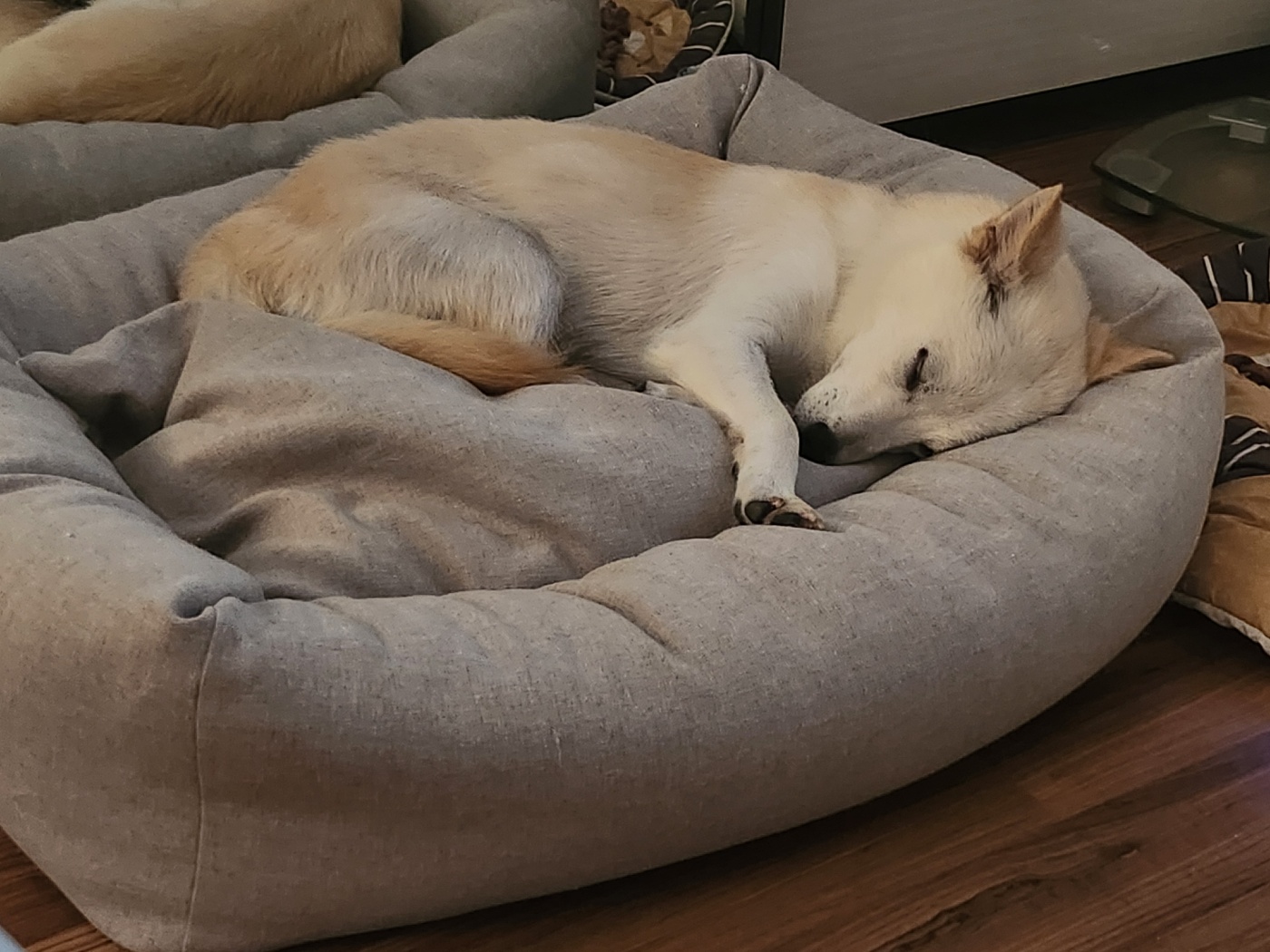 해온이 한 달 후 이야기