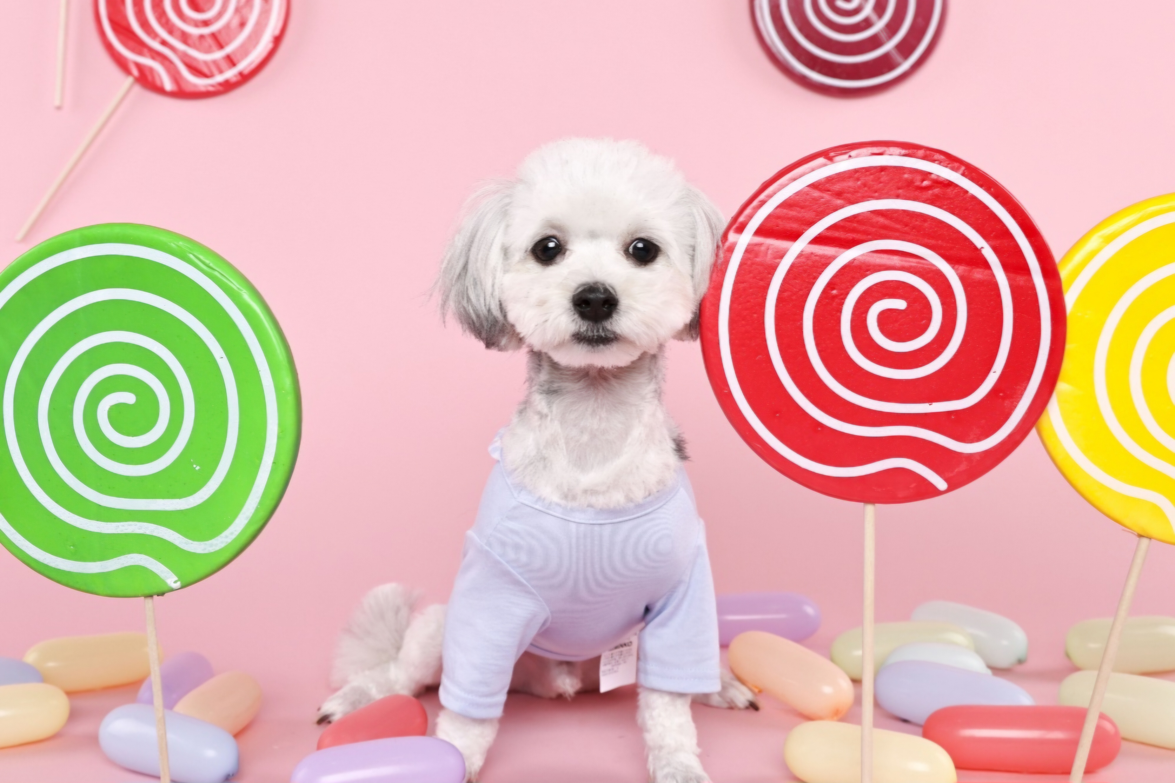 [임보] 함덕이🩵와의  5개월 