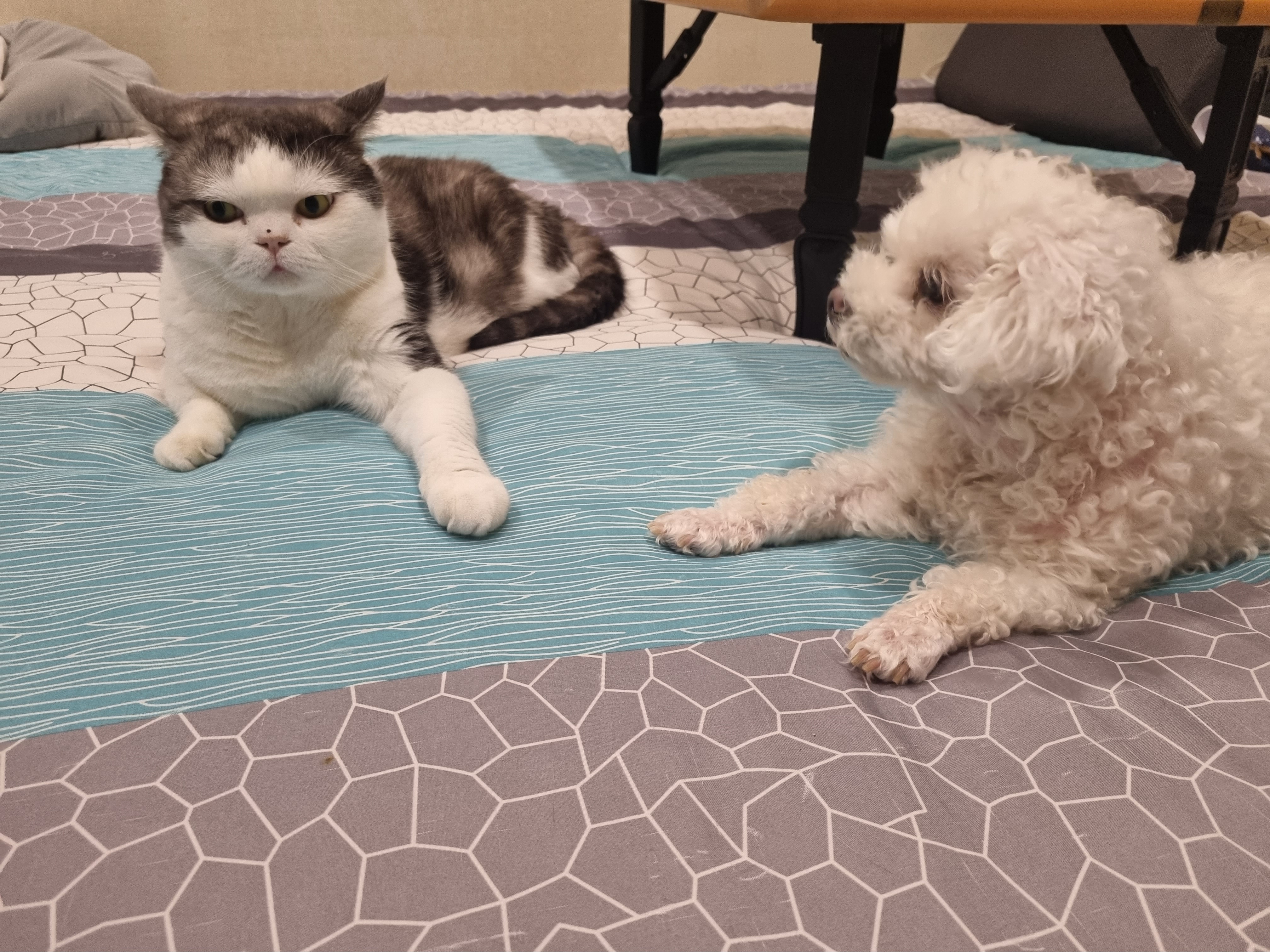 이곤이 소식 전해드려요 ♡