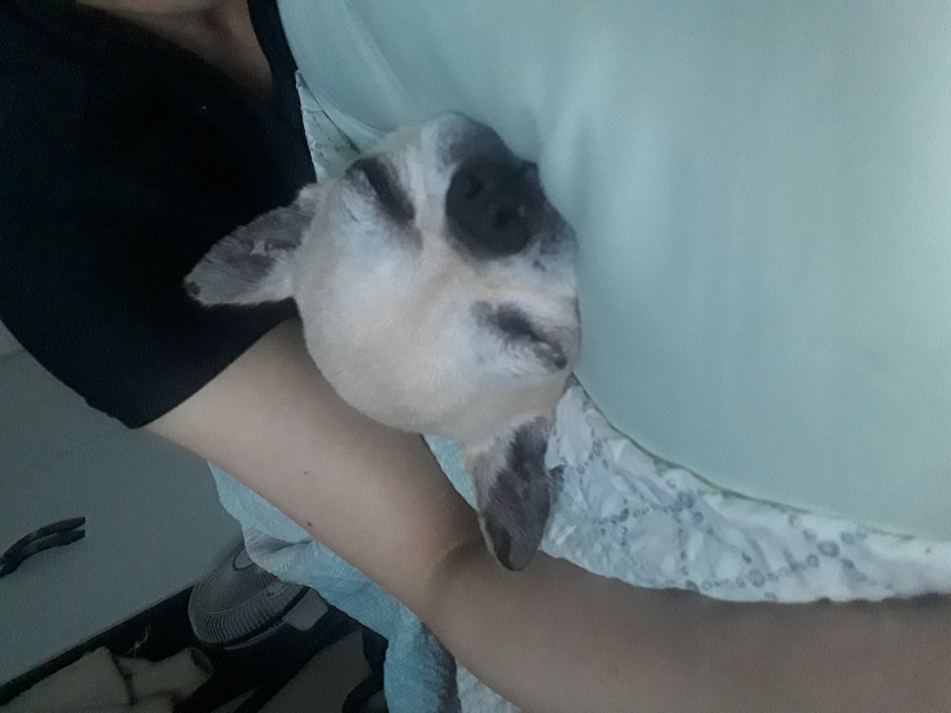 태어날때부터 같이한듯....