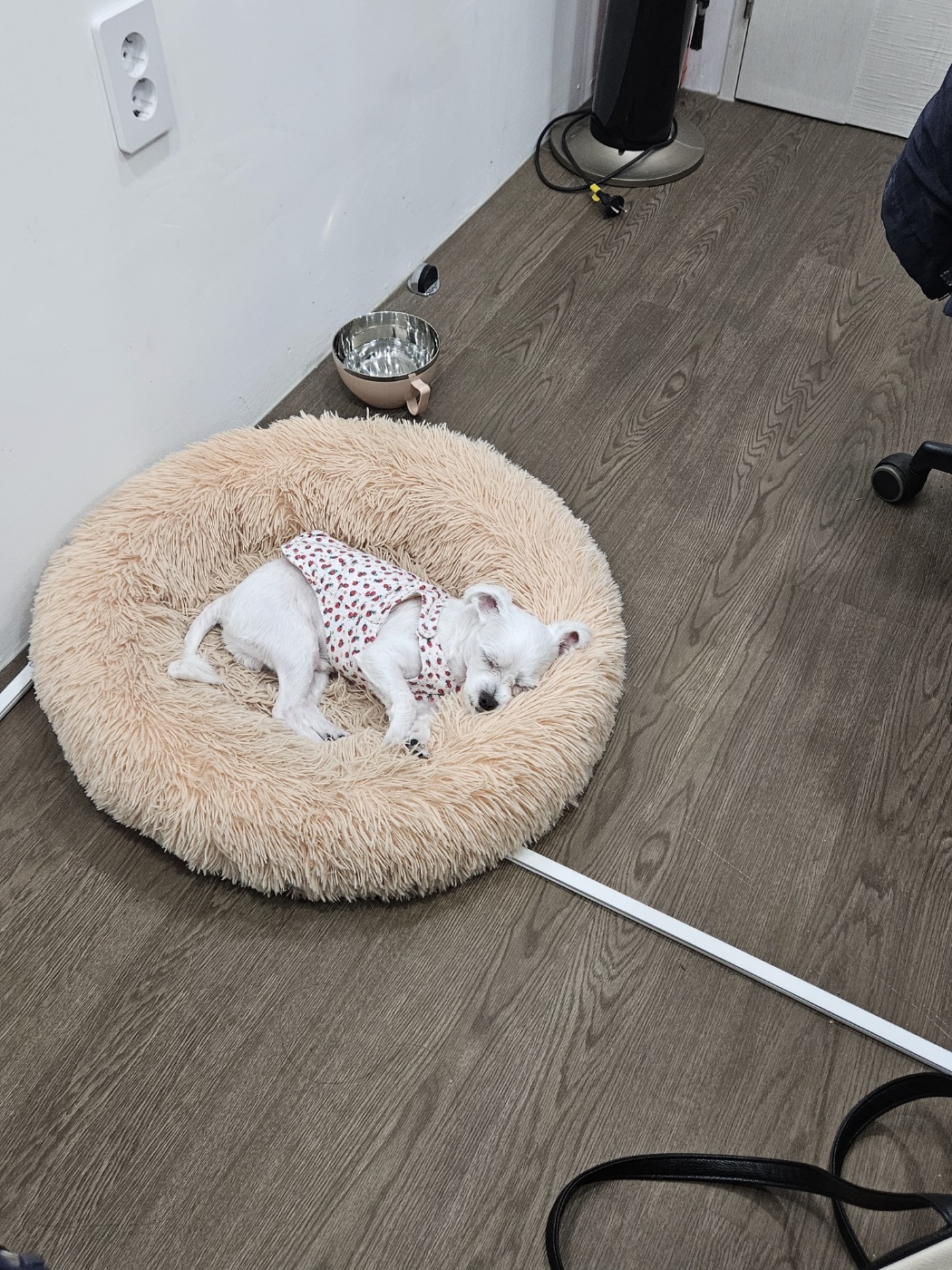 (구)유성 (현)민성 4개월 이야기