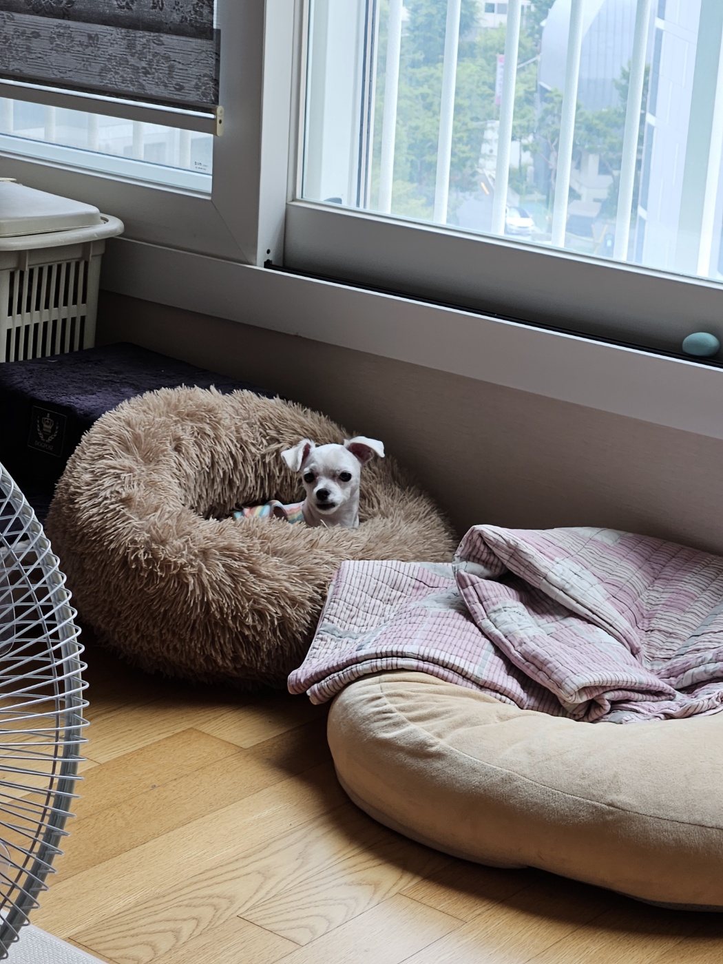 (구)유성 (현)민성 4개월 이야기