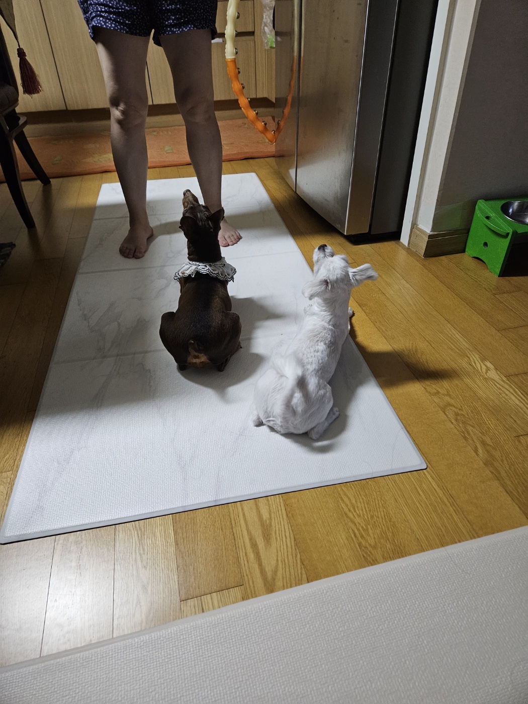 (구)유성 (현)민성 4개월 이야기