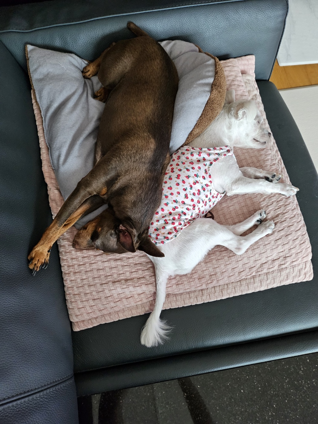 (구)유성 (현)민성 4개월 이야기