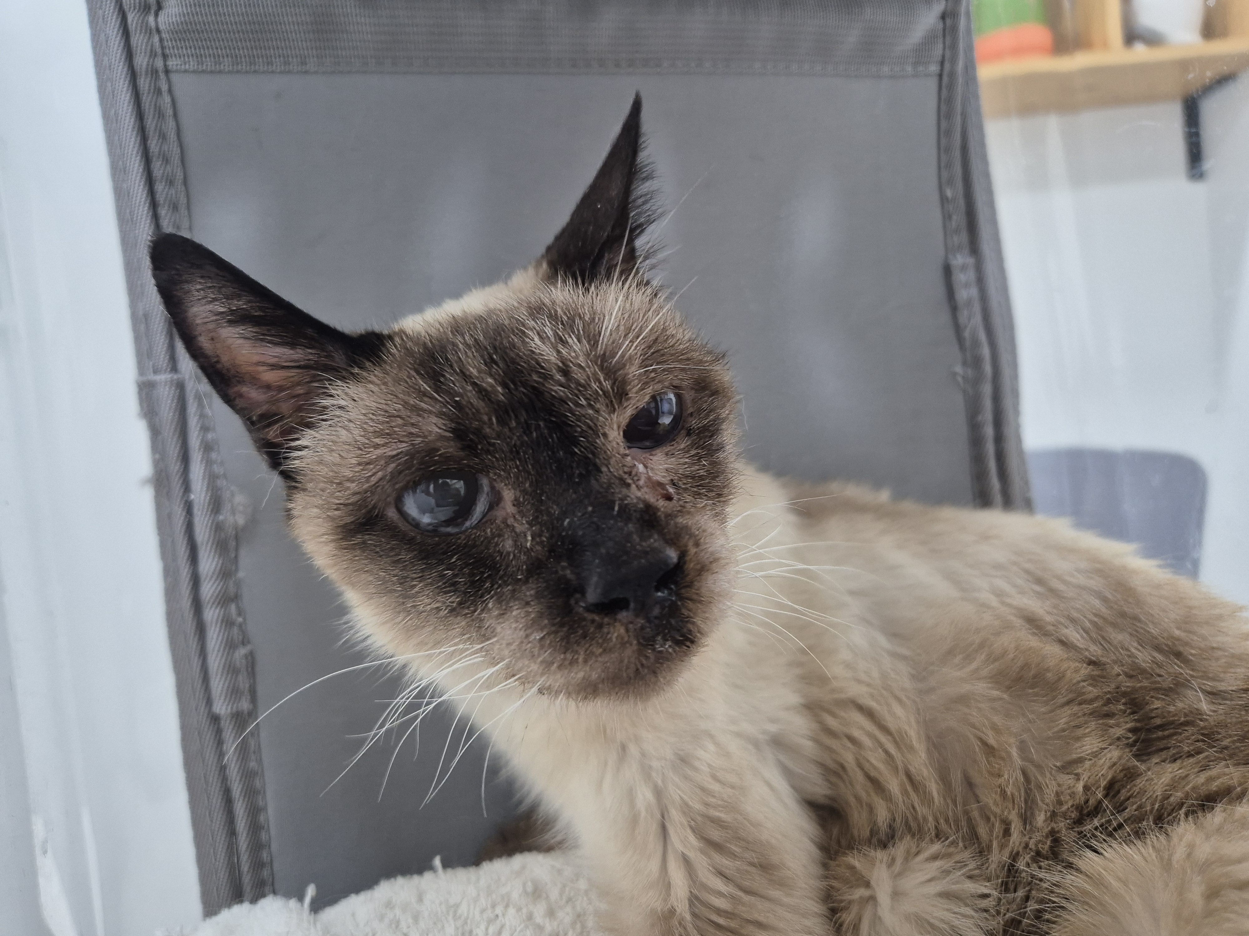 포도2년, 모델이 1년6개월 이야기