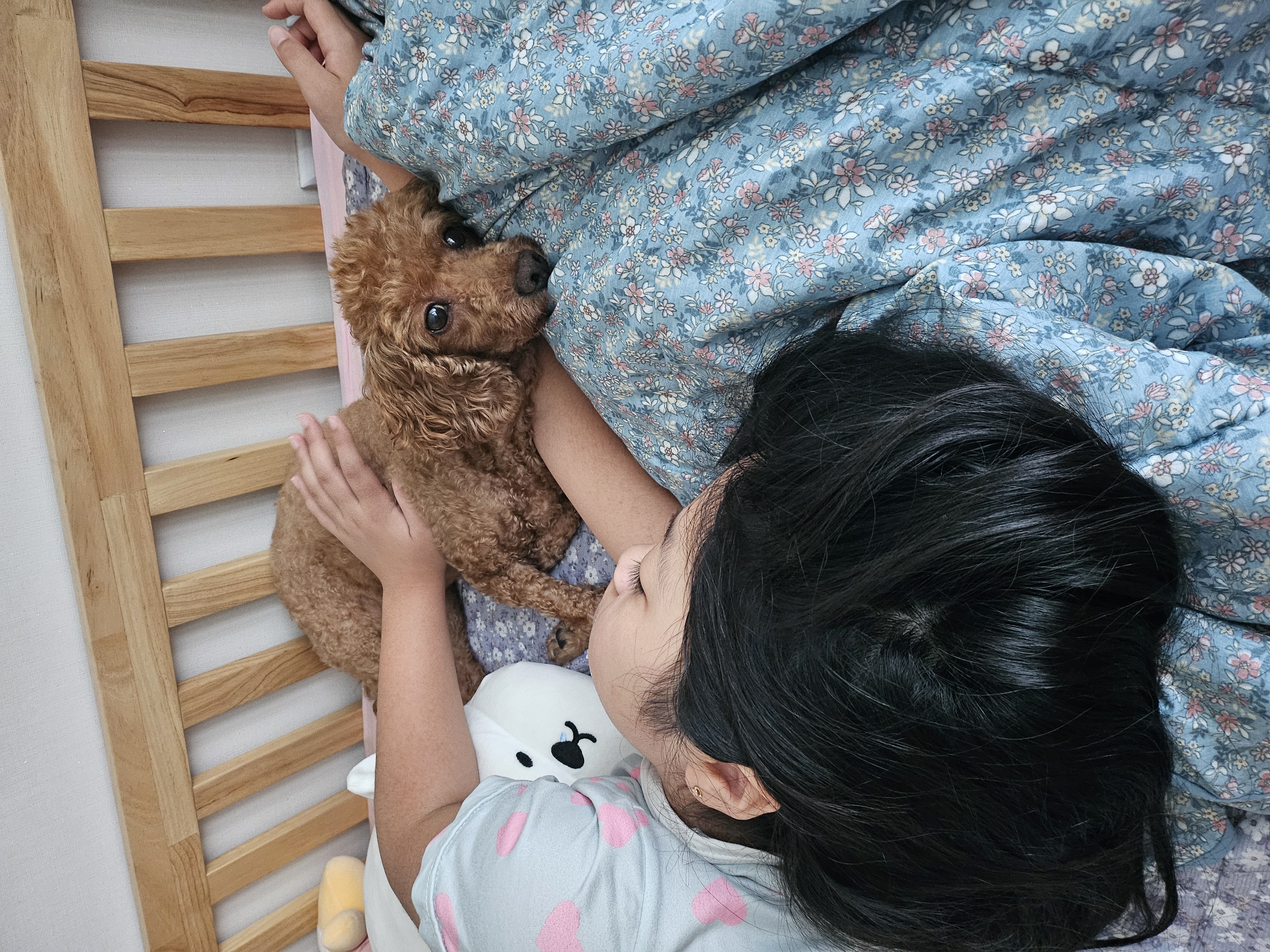 쿠키(앙금)오랜만에올려요