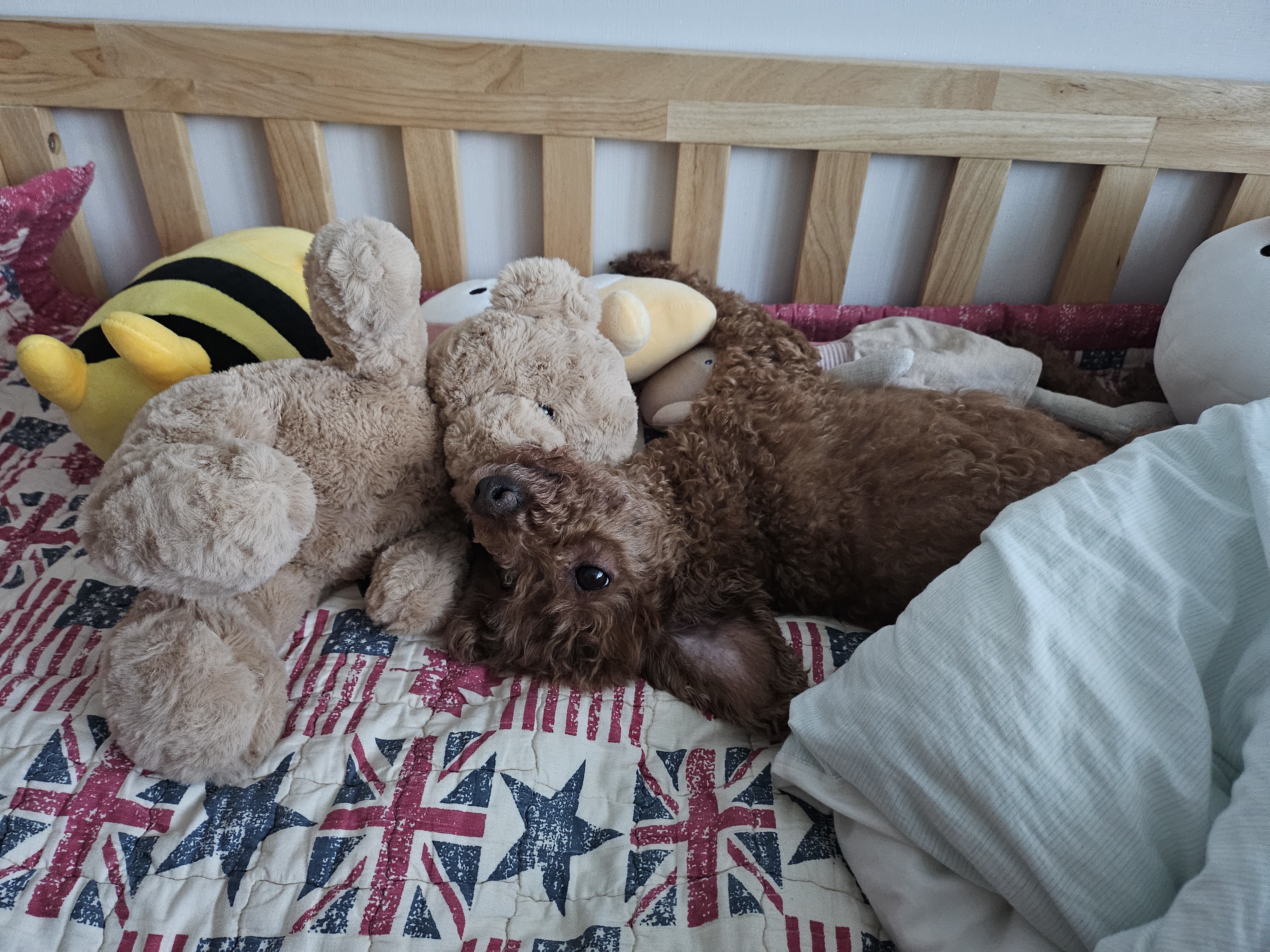 쿠키(앙금)오랜만에올려요