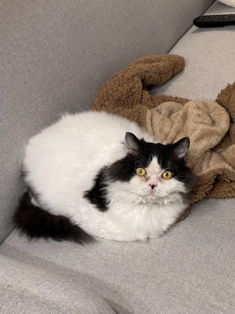 하루(구 왕꿍이) 잘지내고 있어요~