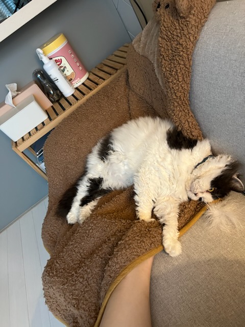 하루(구 왕꿍이) 잘지내고 있어요~