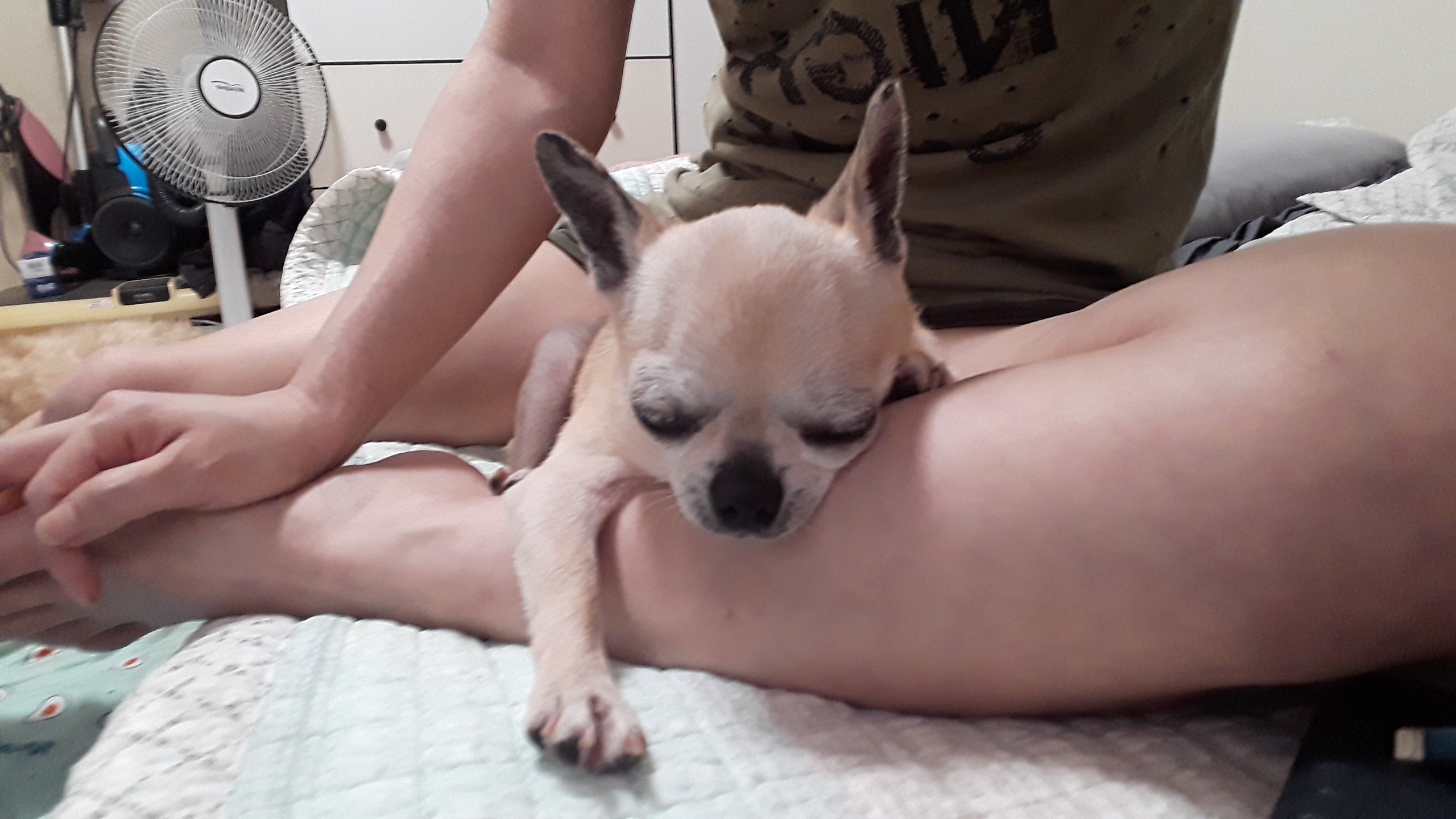 땅콩이 일주일 근황