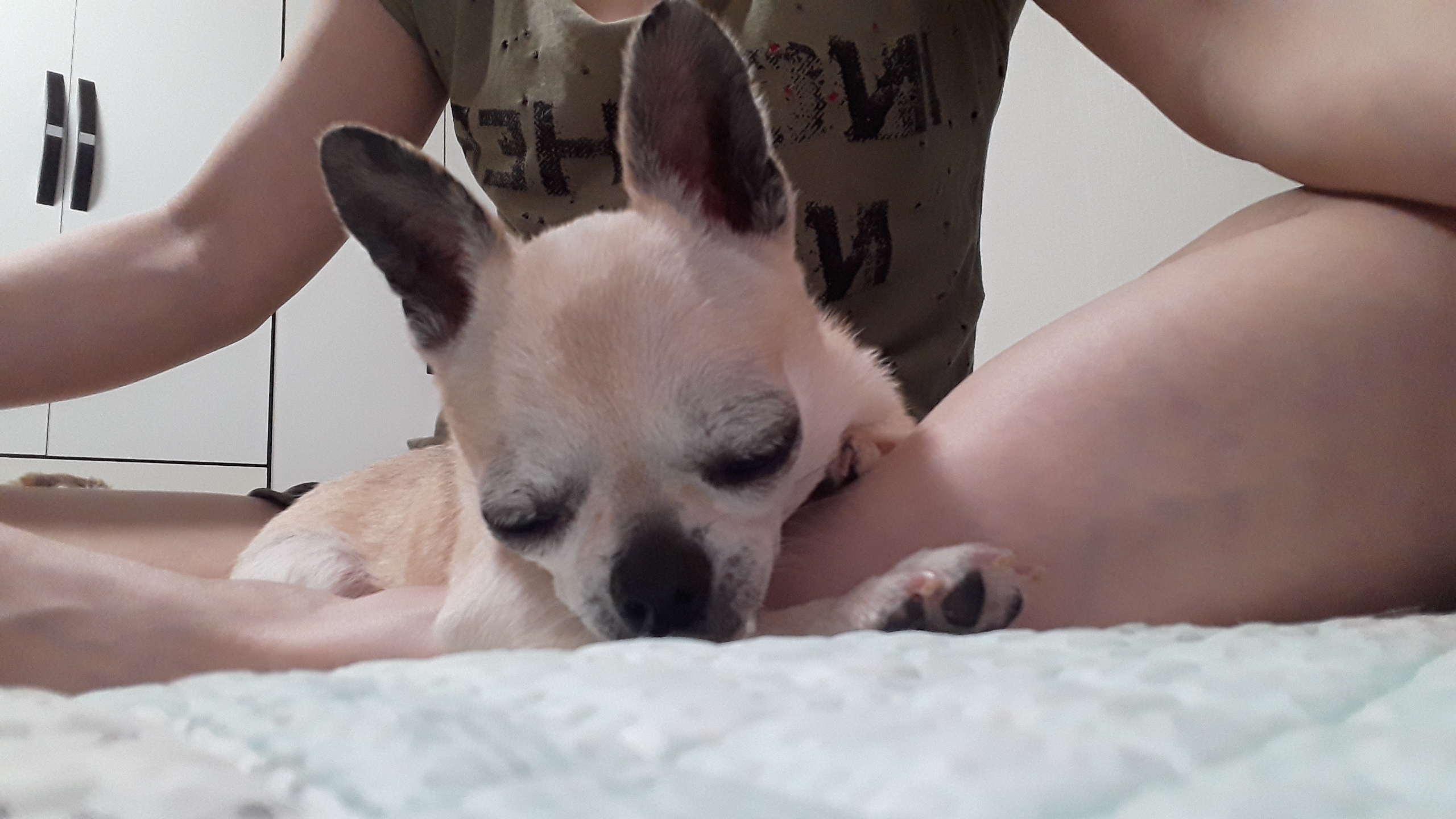 땅콩이 일주일 근황