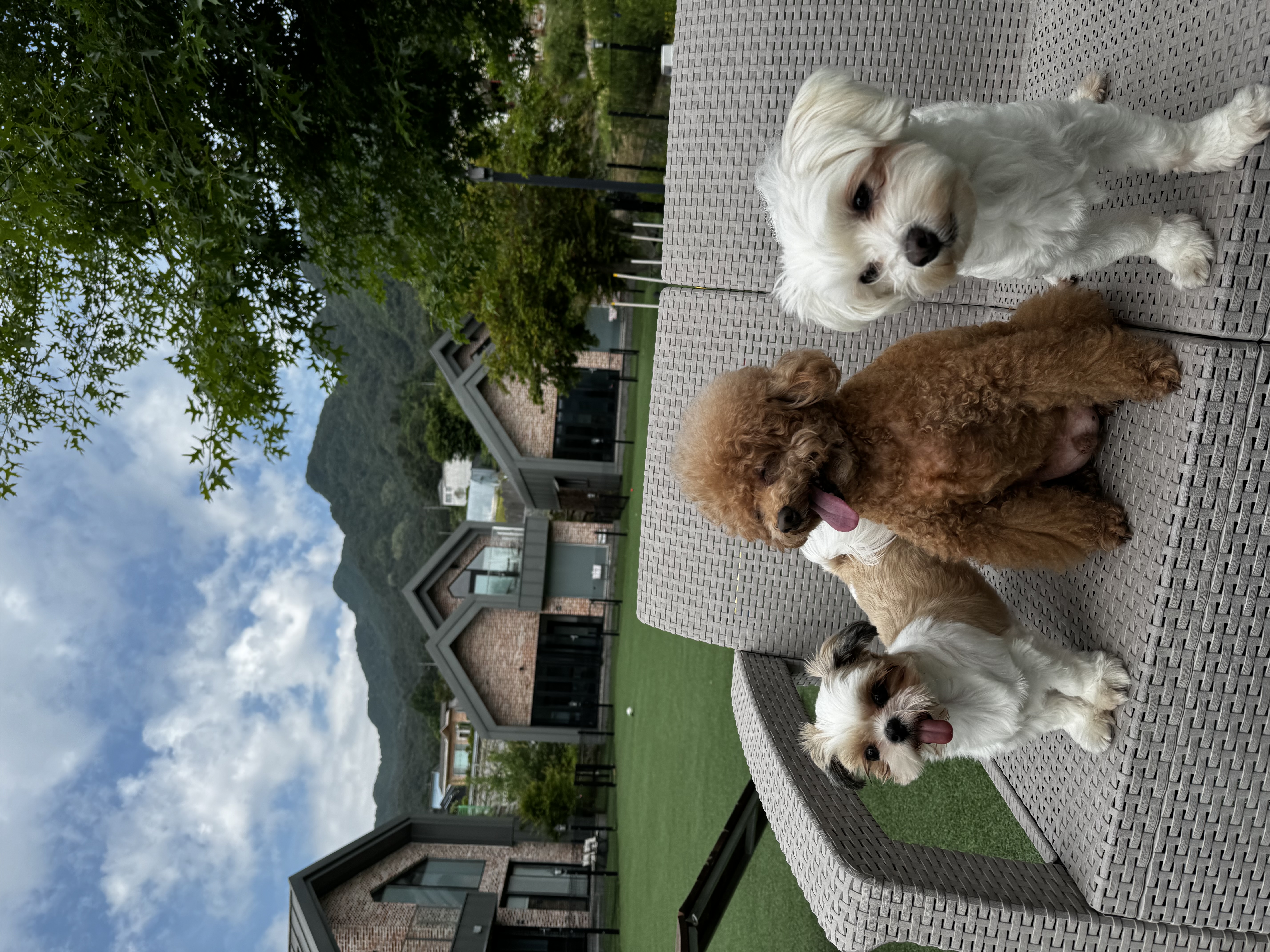 롱지(말캉이) 와 1년