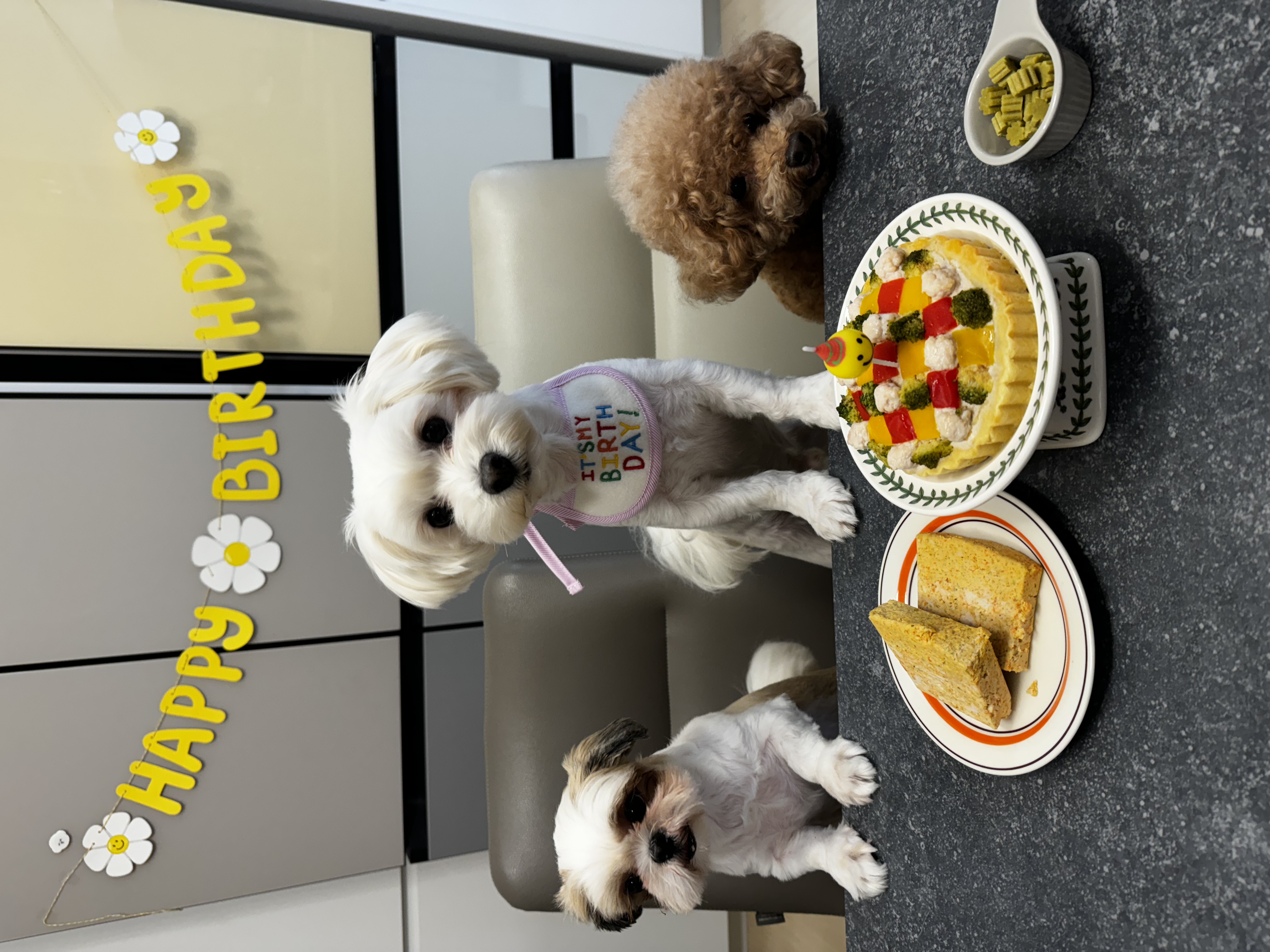 롱지(말캉이) 와 1년