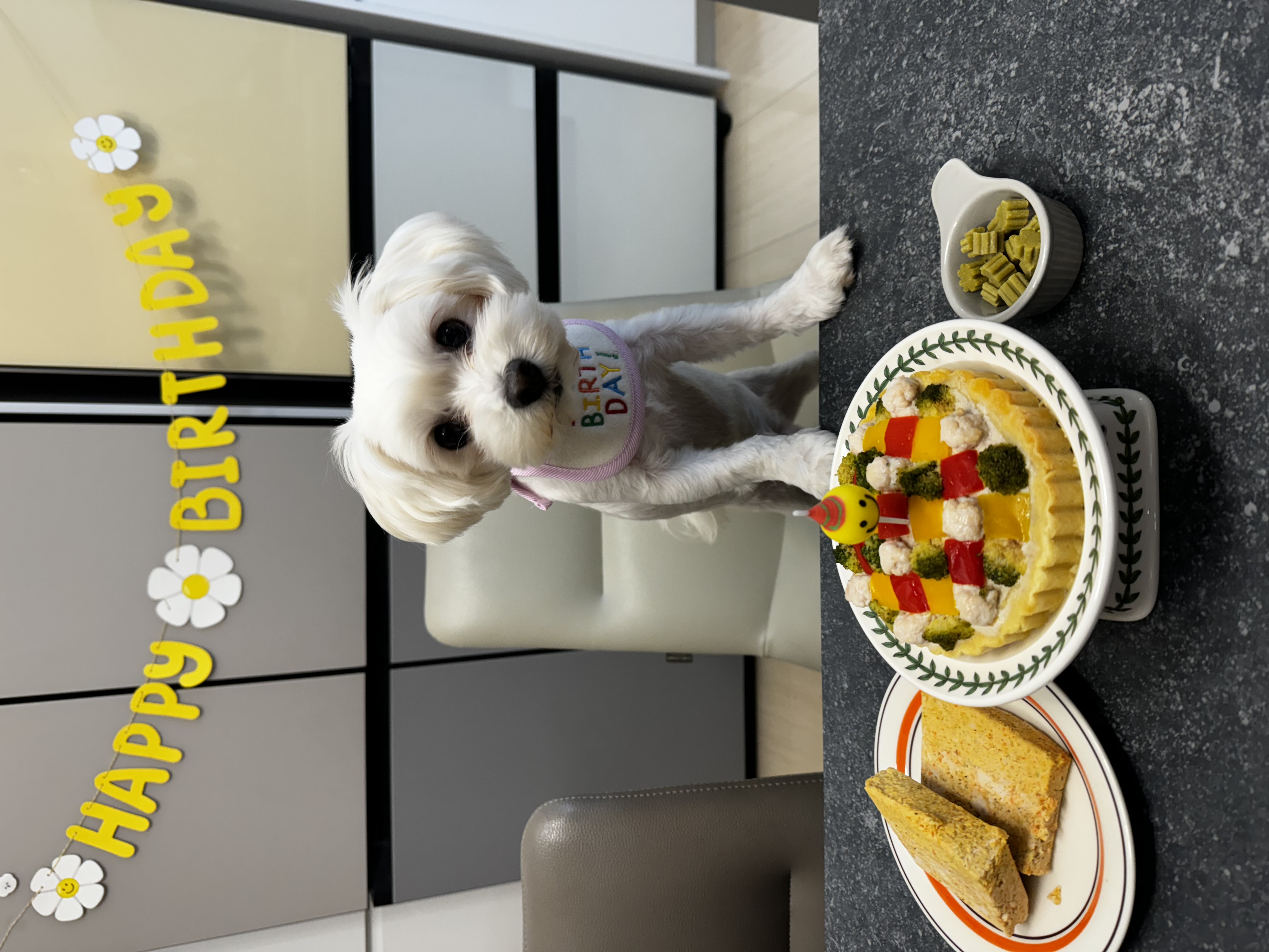 롱지(말캉이) 와 1년