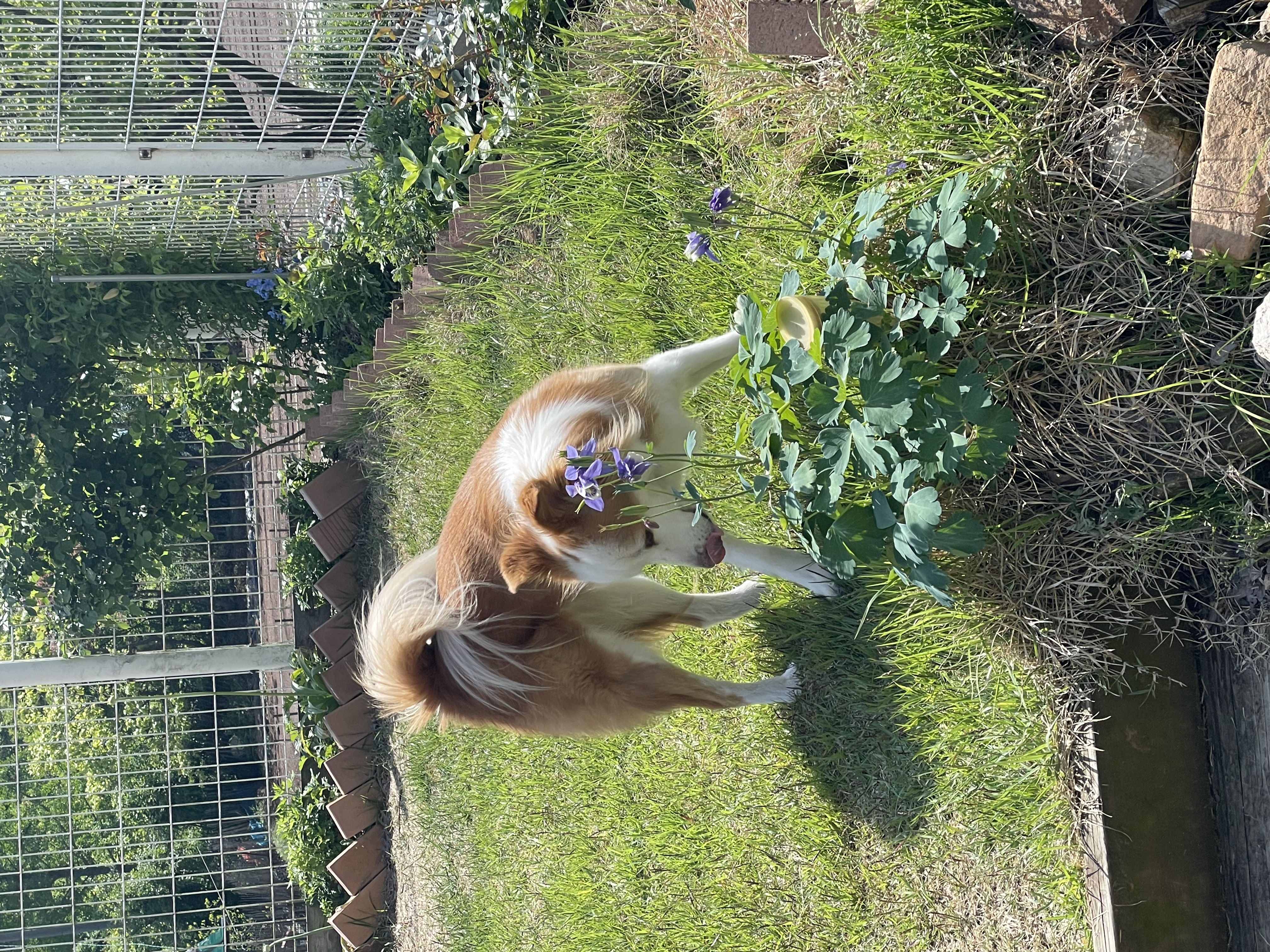 룽지의 3년째 생활