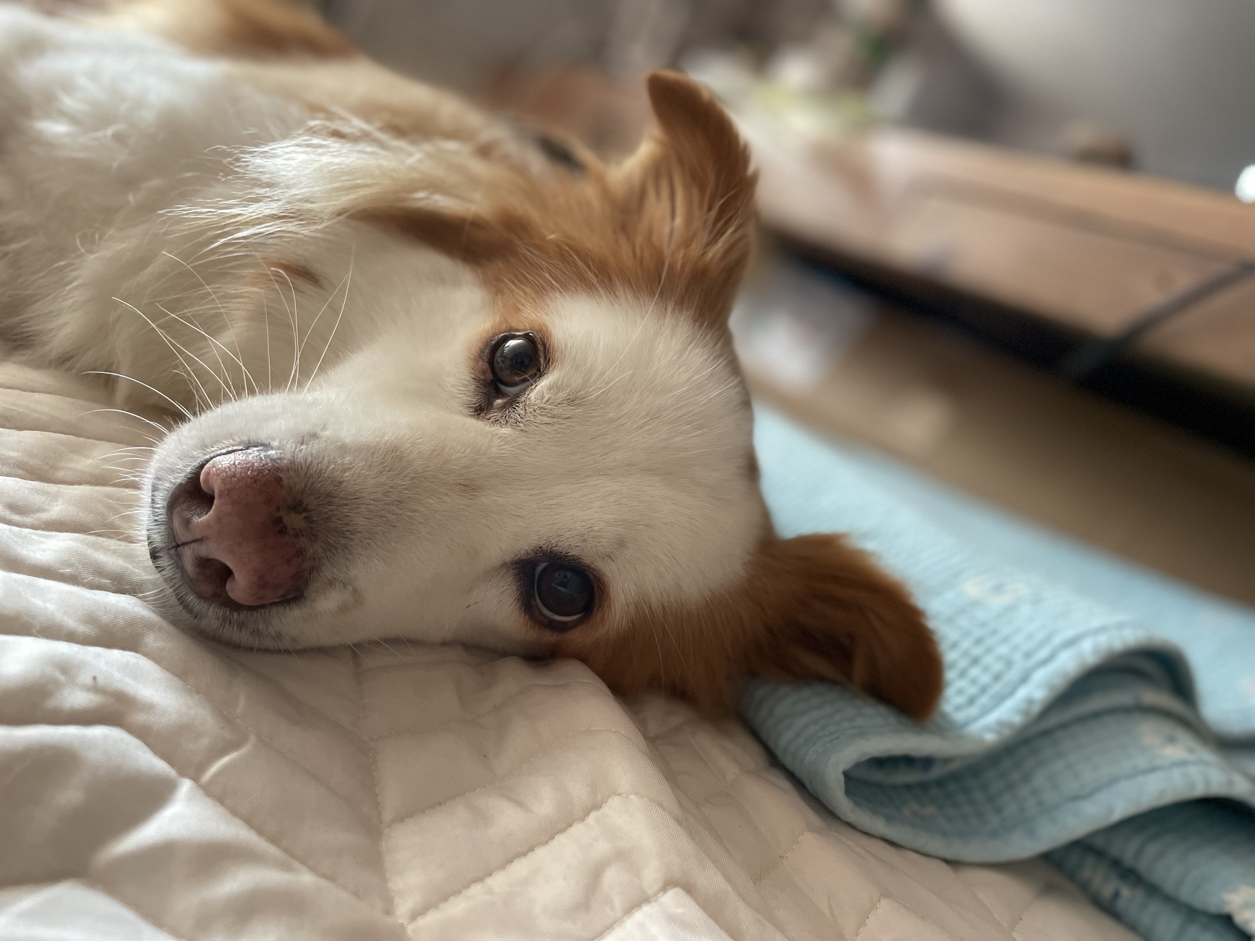 룽지의 3년째 생활