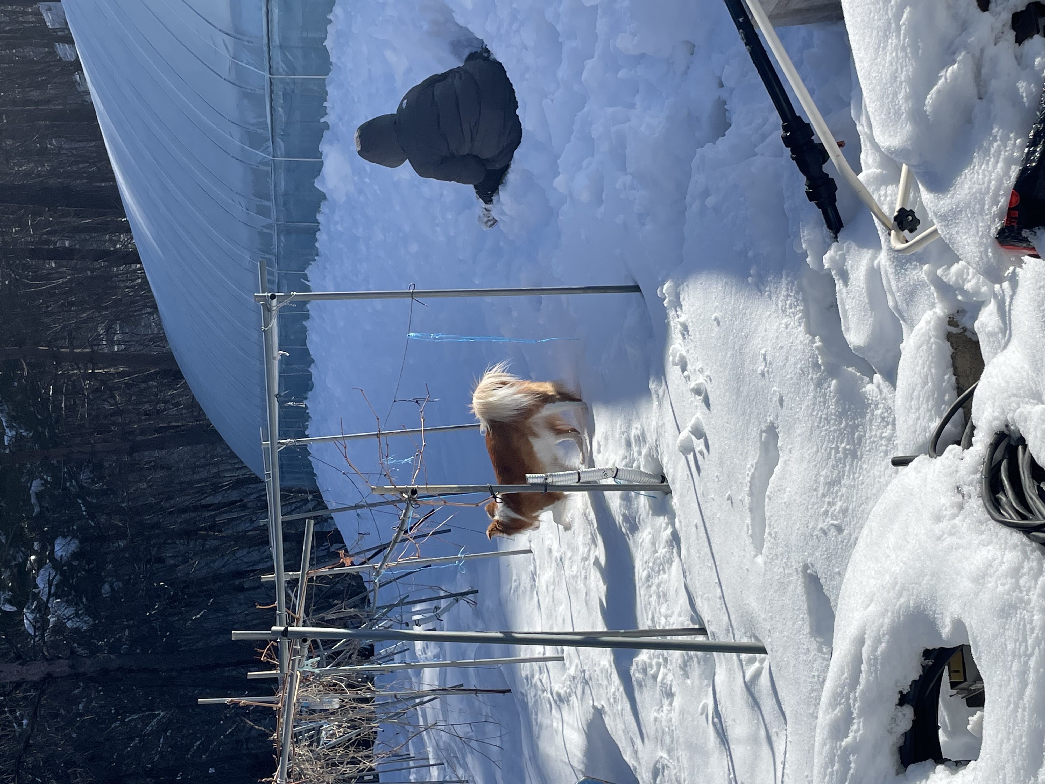 룽지의 3년째 생활