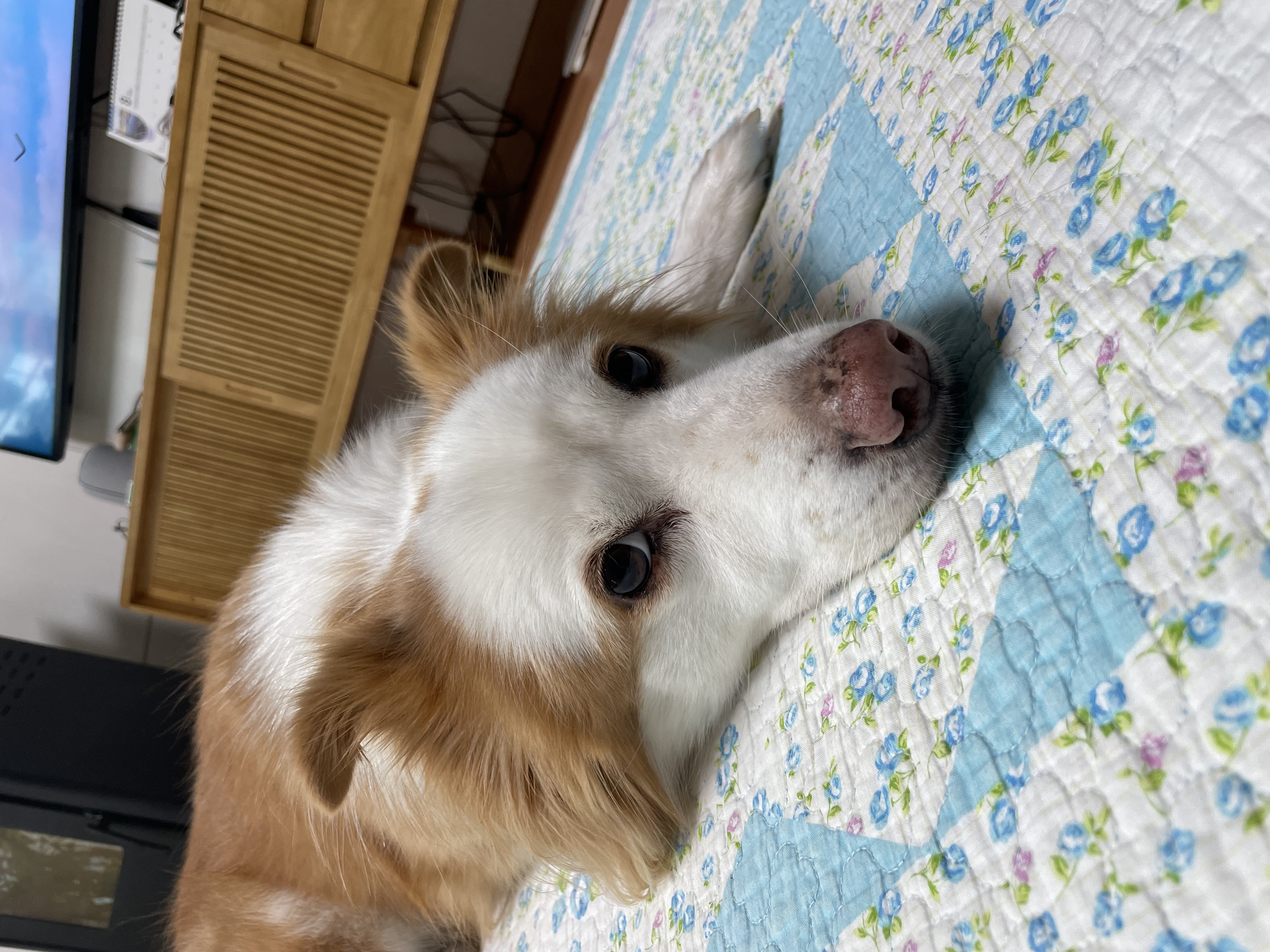 룽지의 3년째 생활