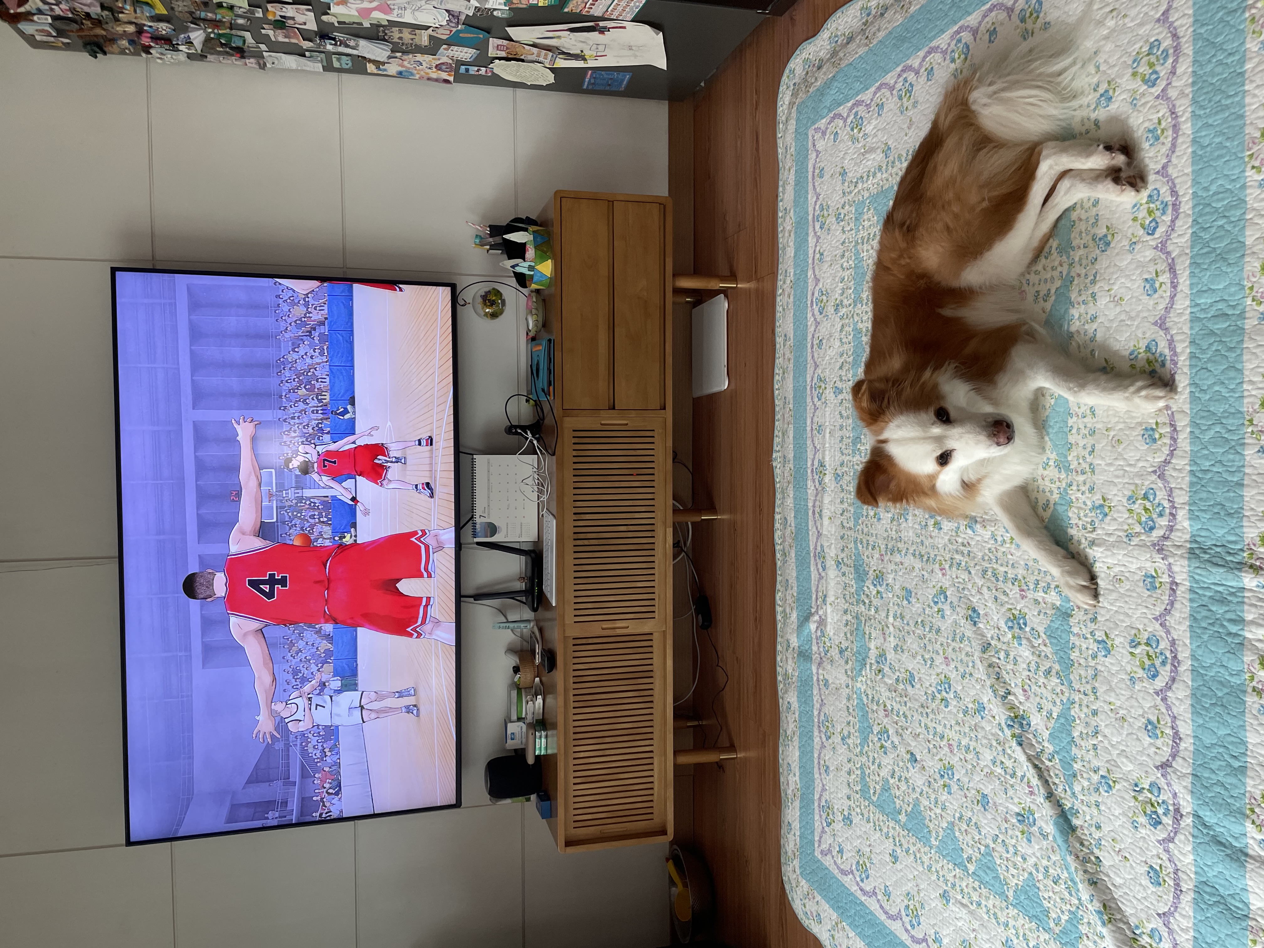 룽지의 3년째 생활