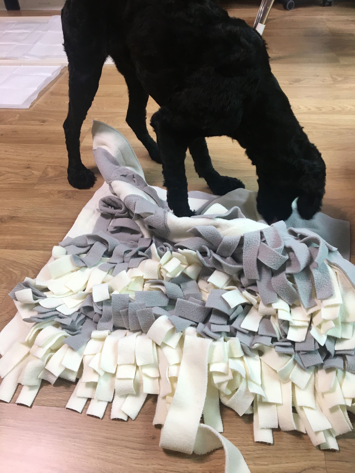 쿠스코 한달차 임보일기