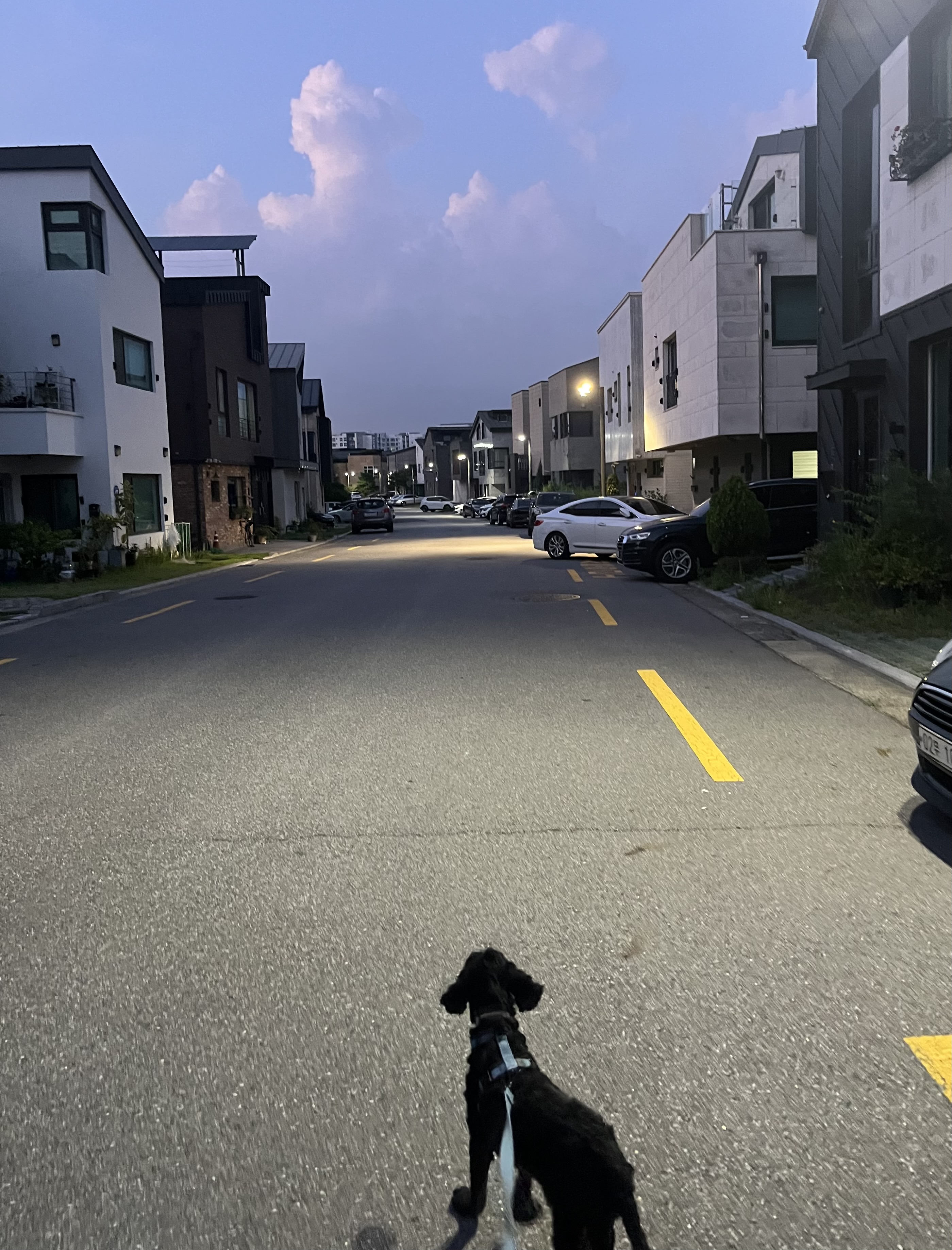 쿠스코 한달차 임보일기