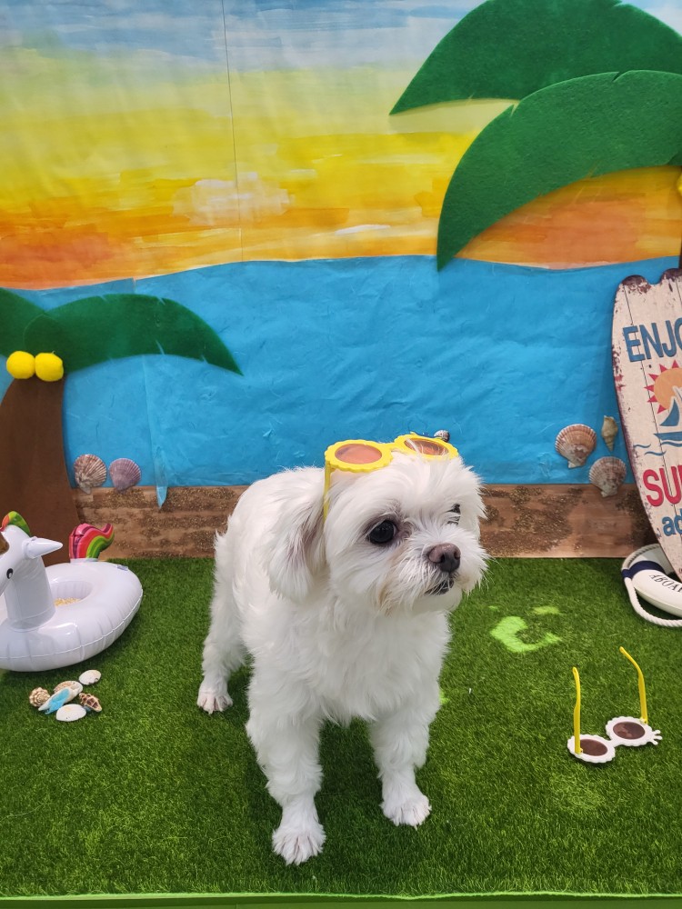 복담이(구 쁘니) 4개월차