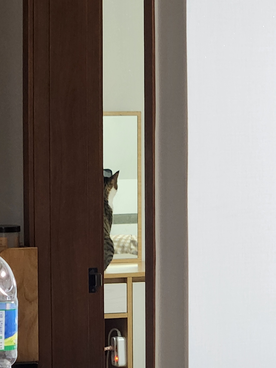 둘째 하모 5일근황!!