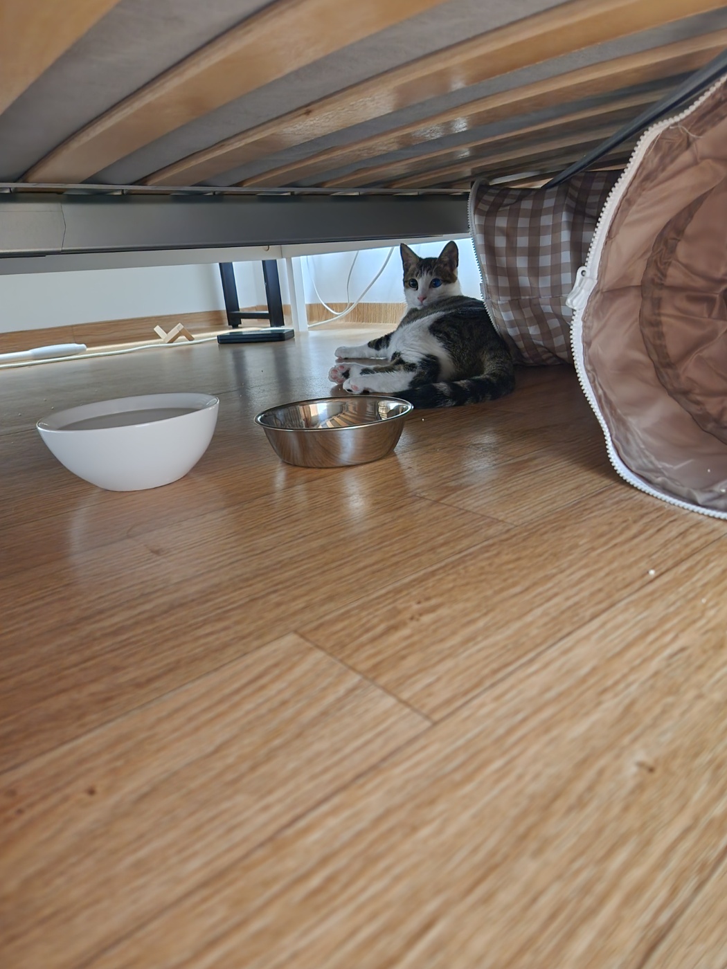 둘째 하모 5일근황!!