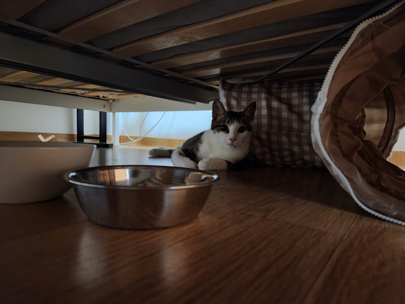 둘째 하모 5일근황!!